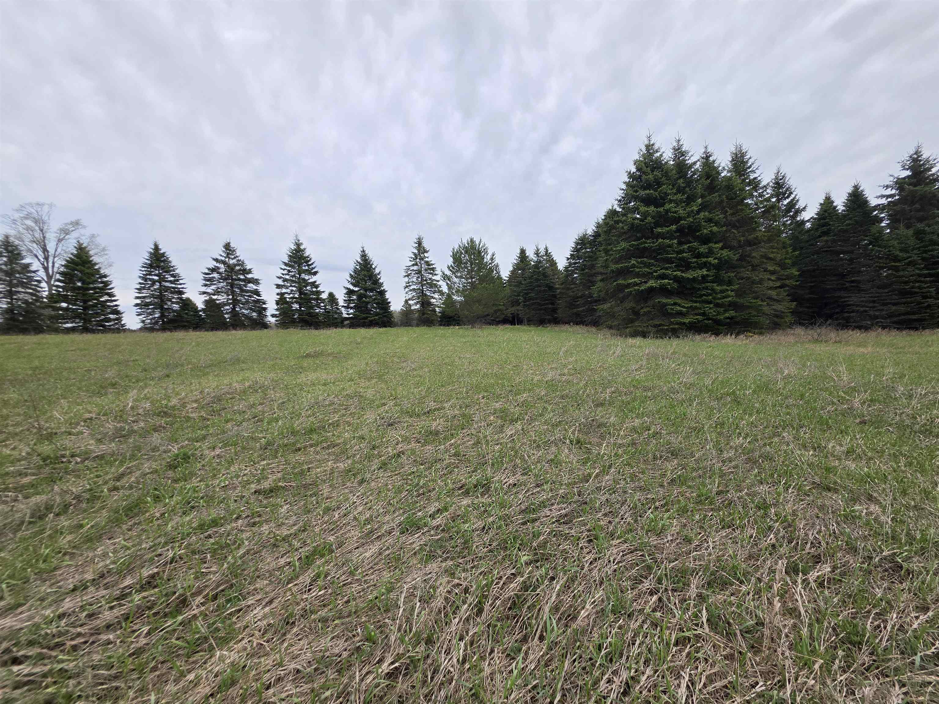 31 SE Blue Heron Drive, Kalkaska, MI, 49646
