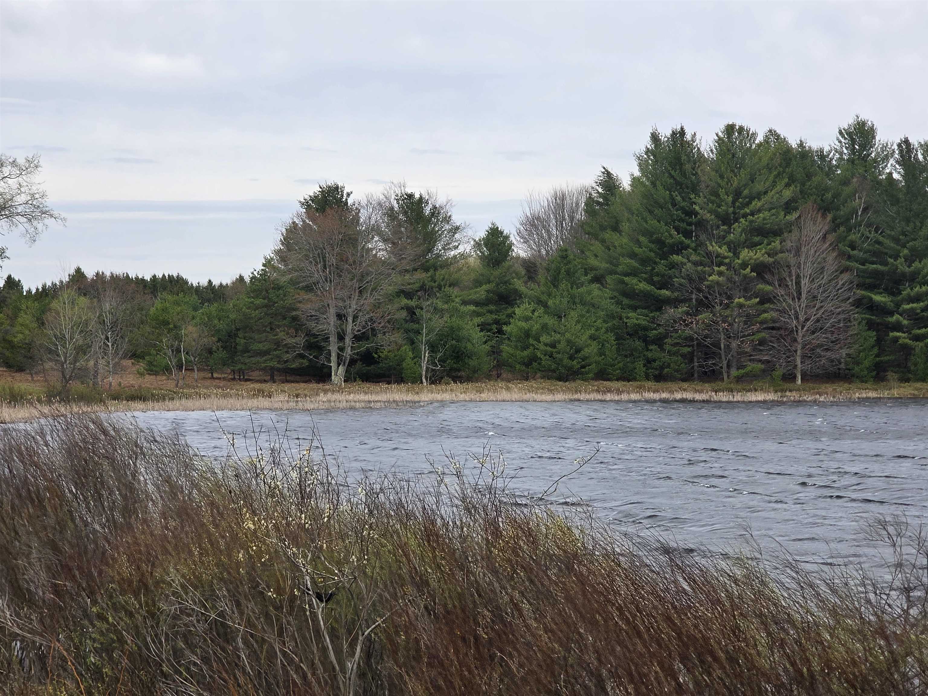 31 SE Blue Heron Drive, Kalkaska, MI, 49646