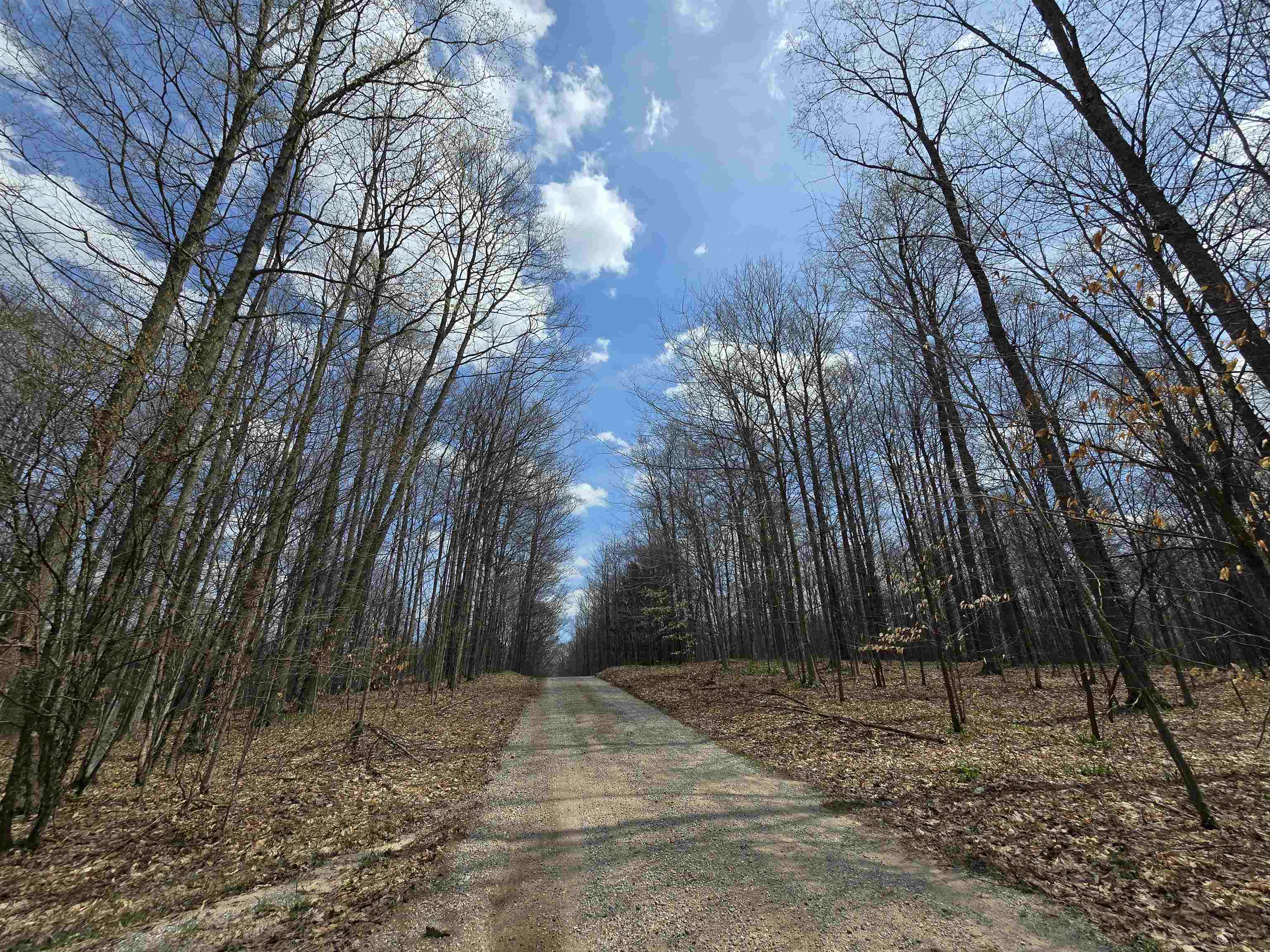 00 W 20 Road, Mesick, MI, 49668