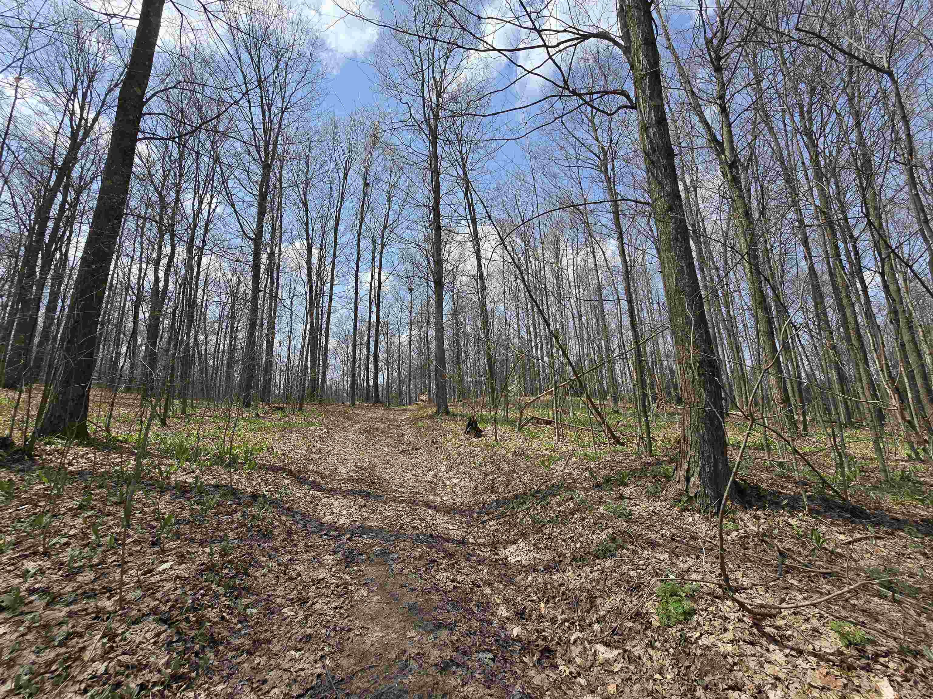 00 W 20 Road, Mesick, MI, 49668