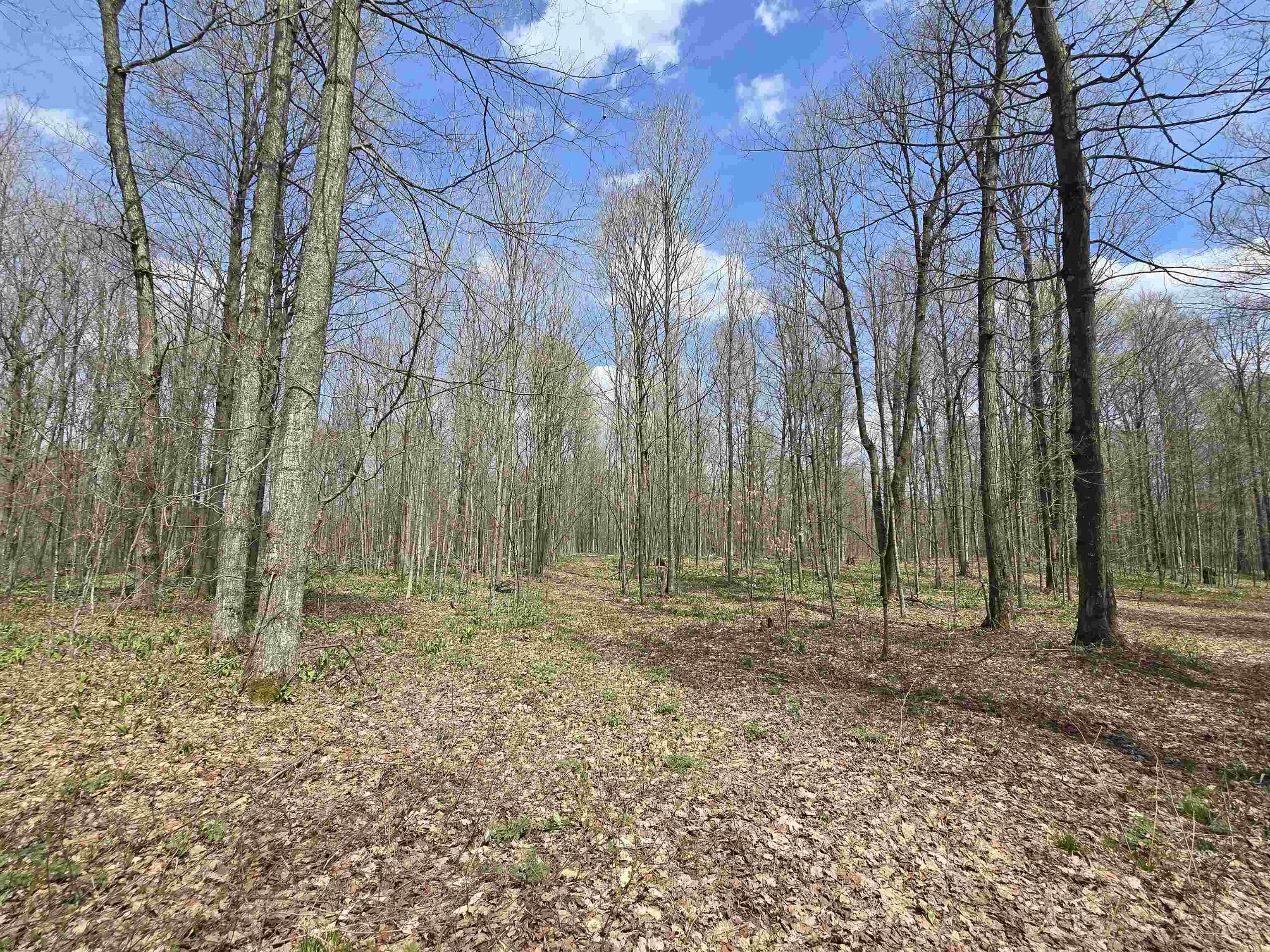 00 W 20 Road, Mesick, MI, 49668