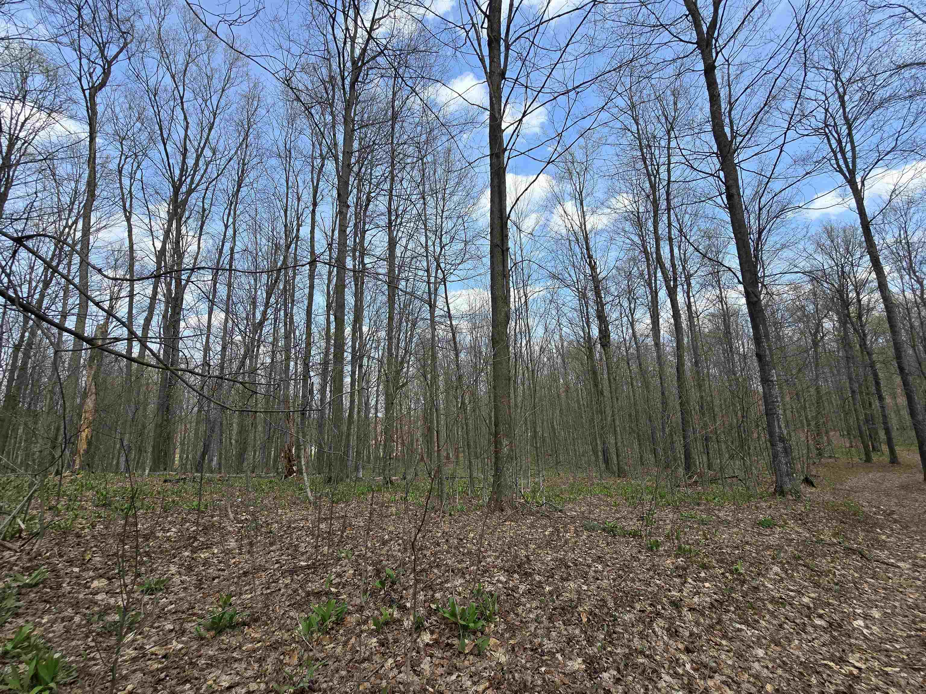 00 W 20 Road, Mesick, MI, 49668