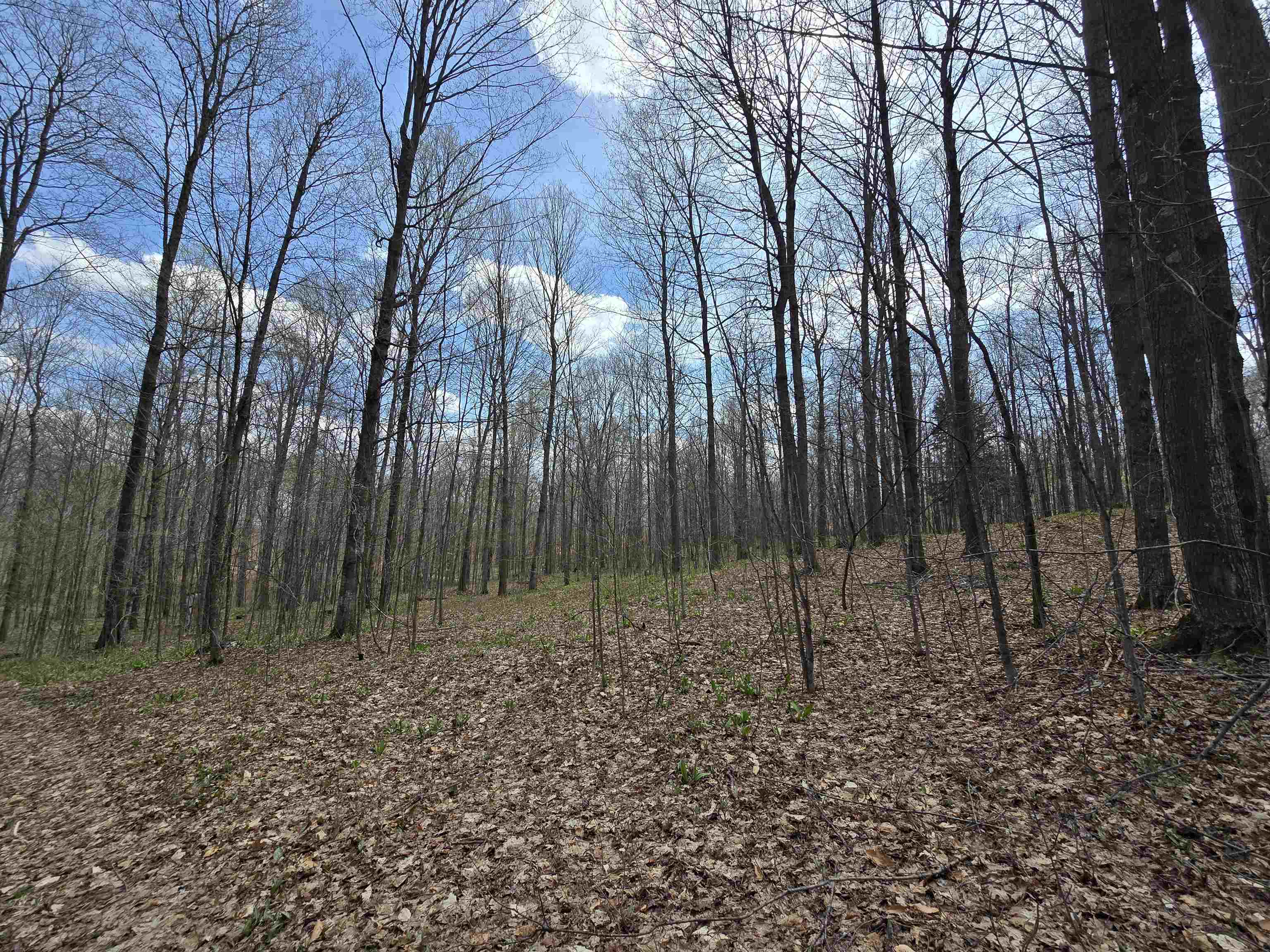 00 W 20 Road, Mesick, MI, 49668