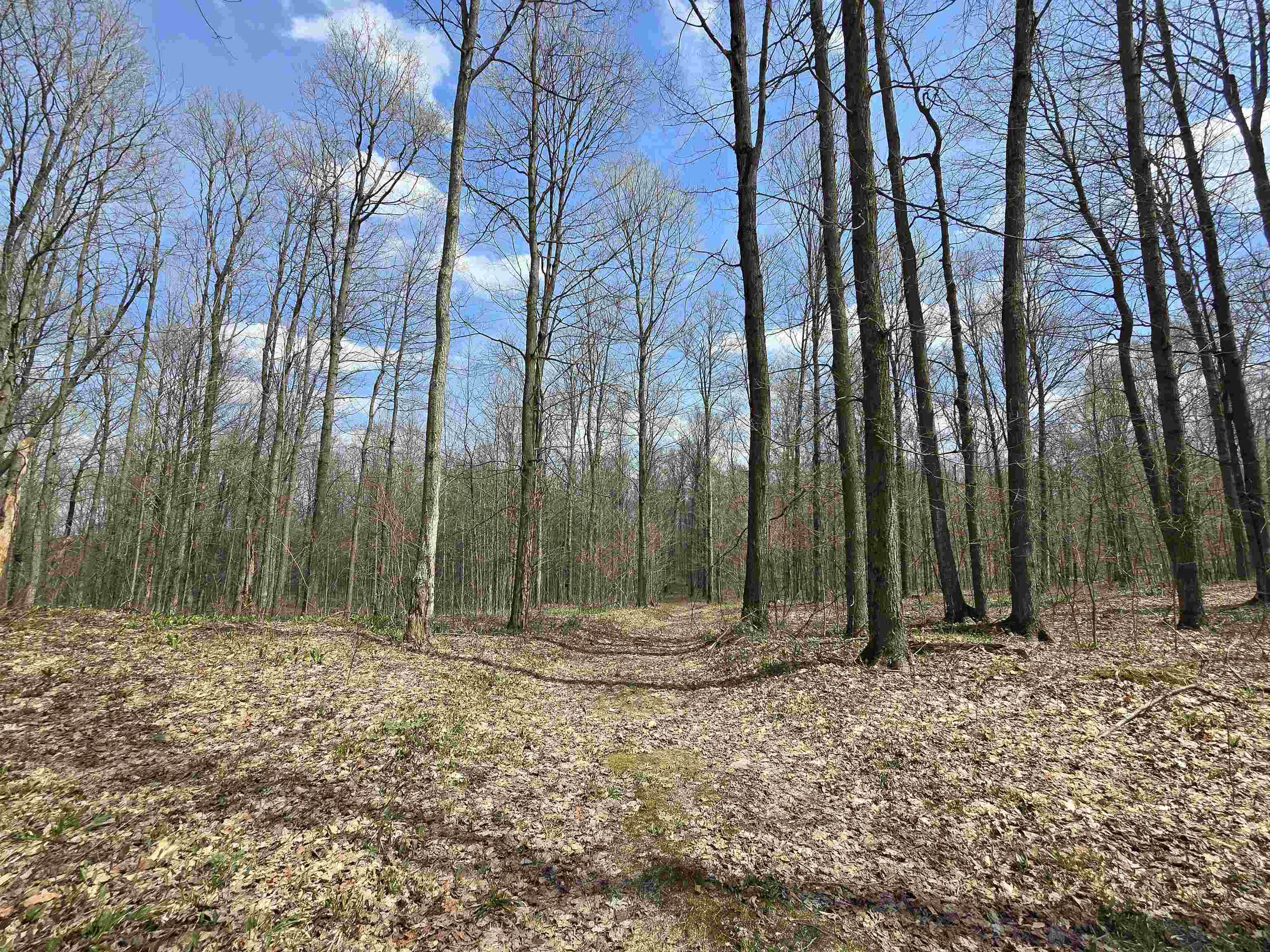 00 W 20 Road, Mesick, MI, 49668