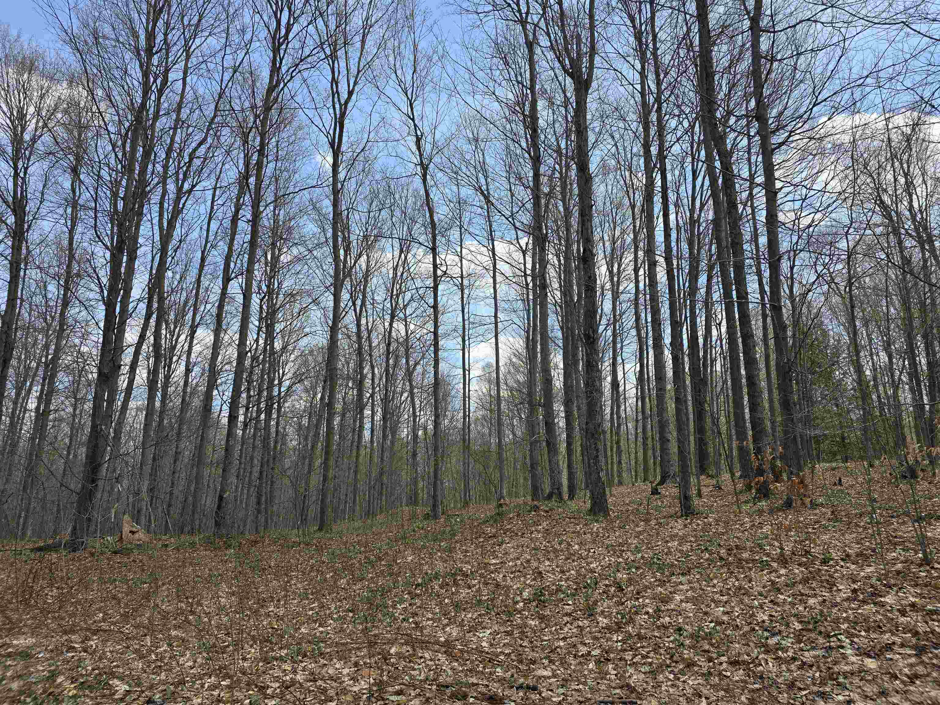 00 W 20 Road, Mesick, MI, 49668