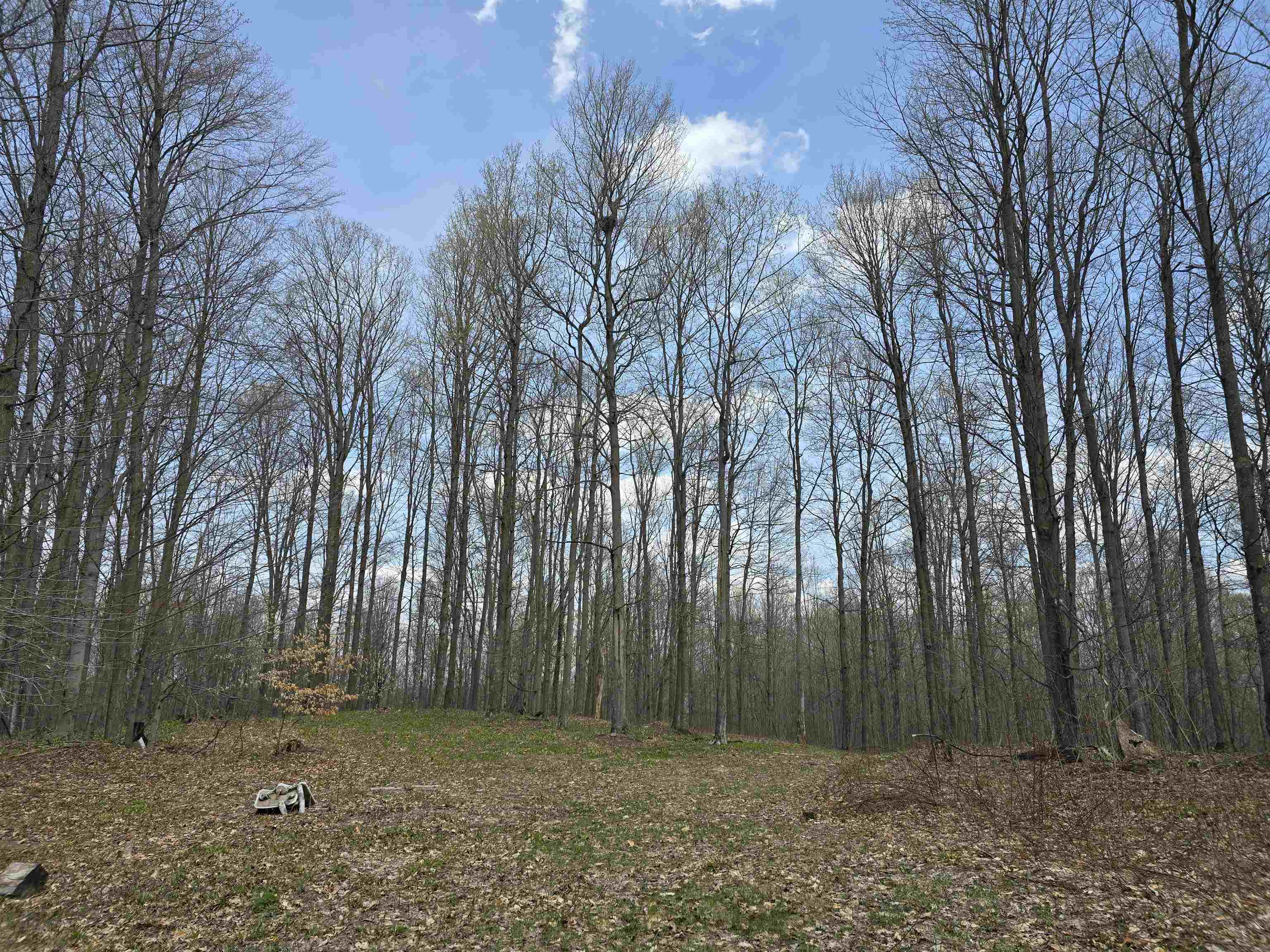 00 W 20 Road, Mesick, MI, 49668