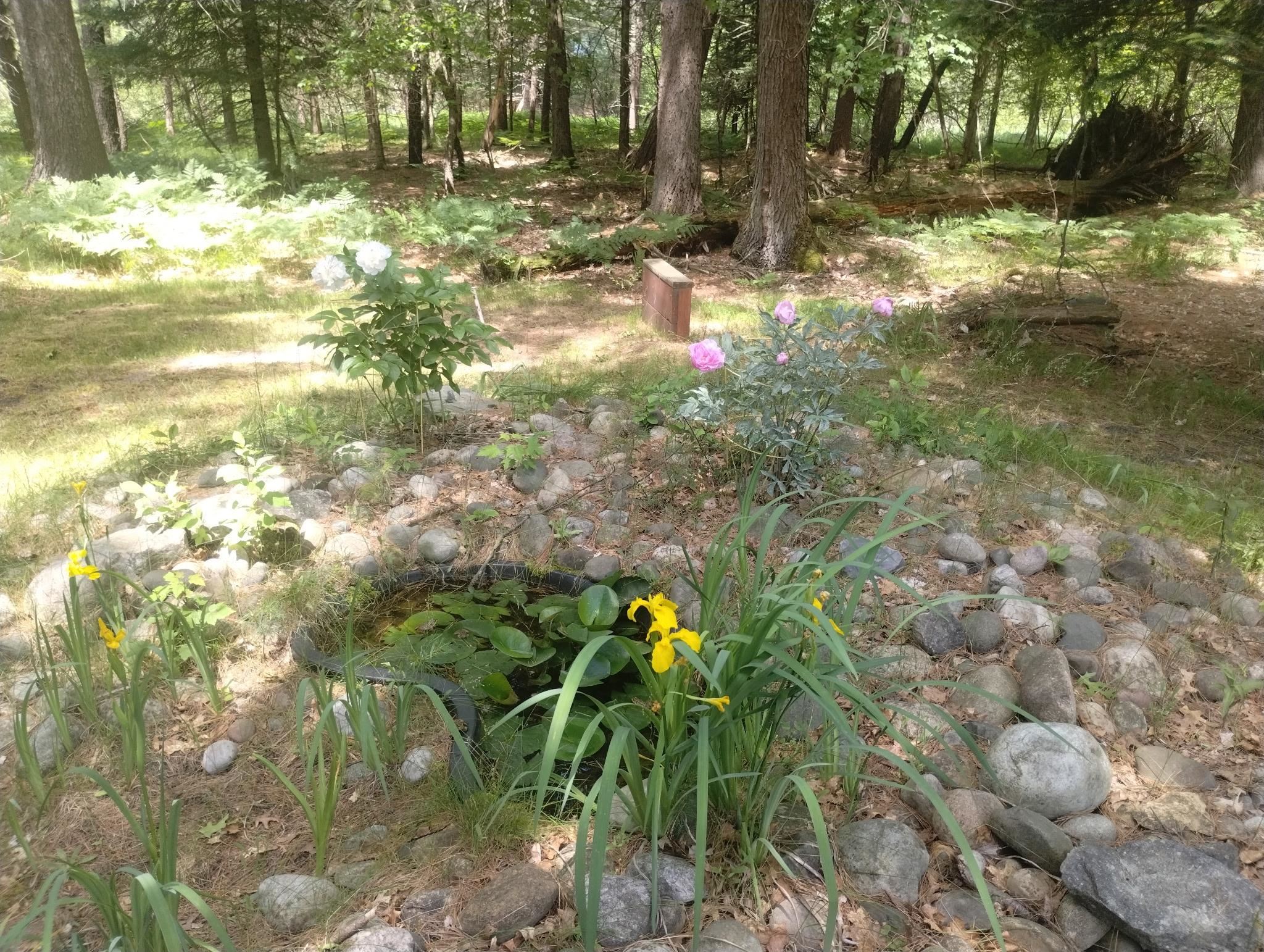 9890 SE Angel Road, Fife Lake, MI, 49633