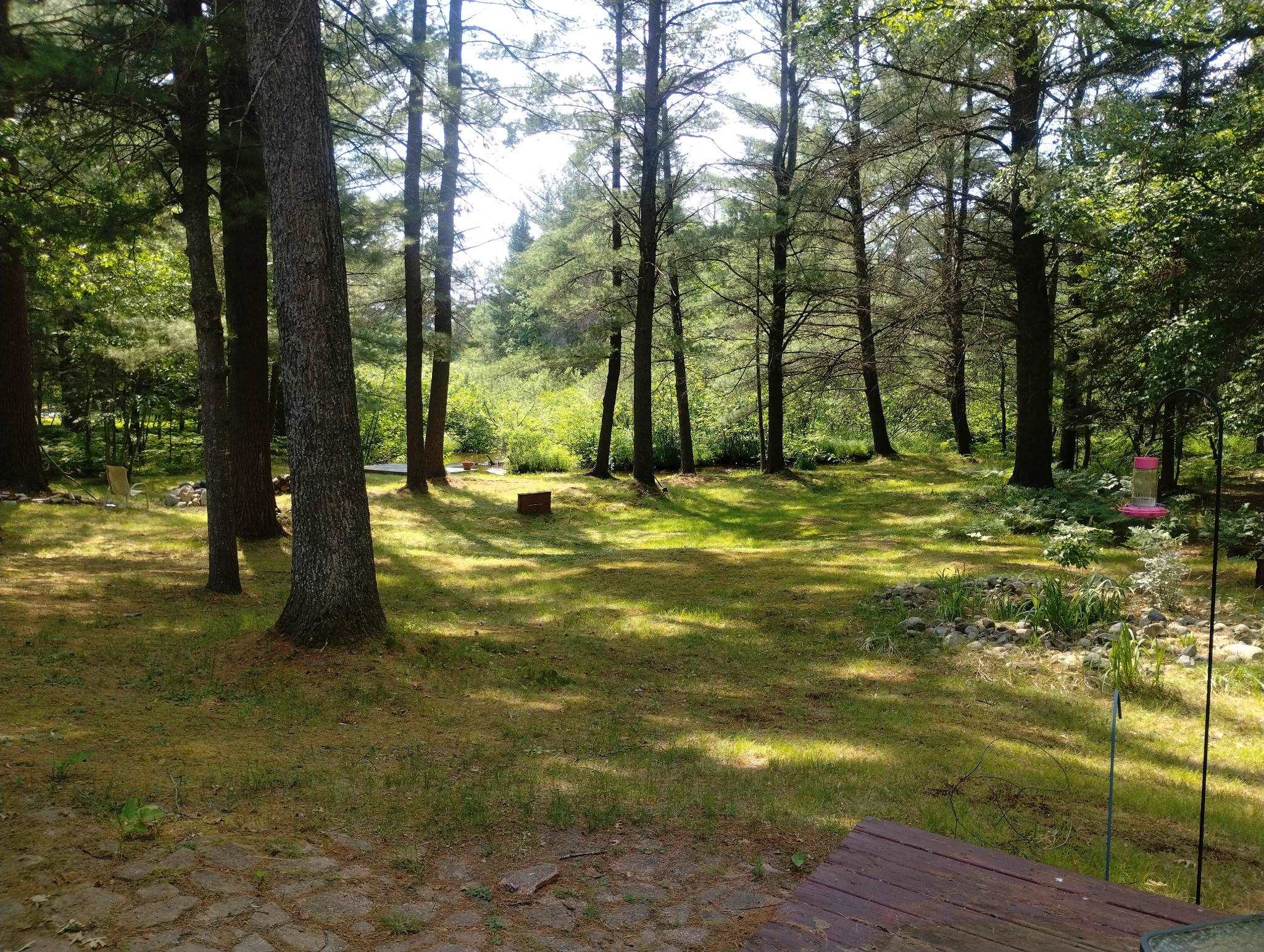 9890 SE Angel Road, Fife Lake, MI, 49633