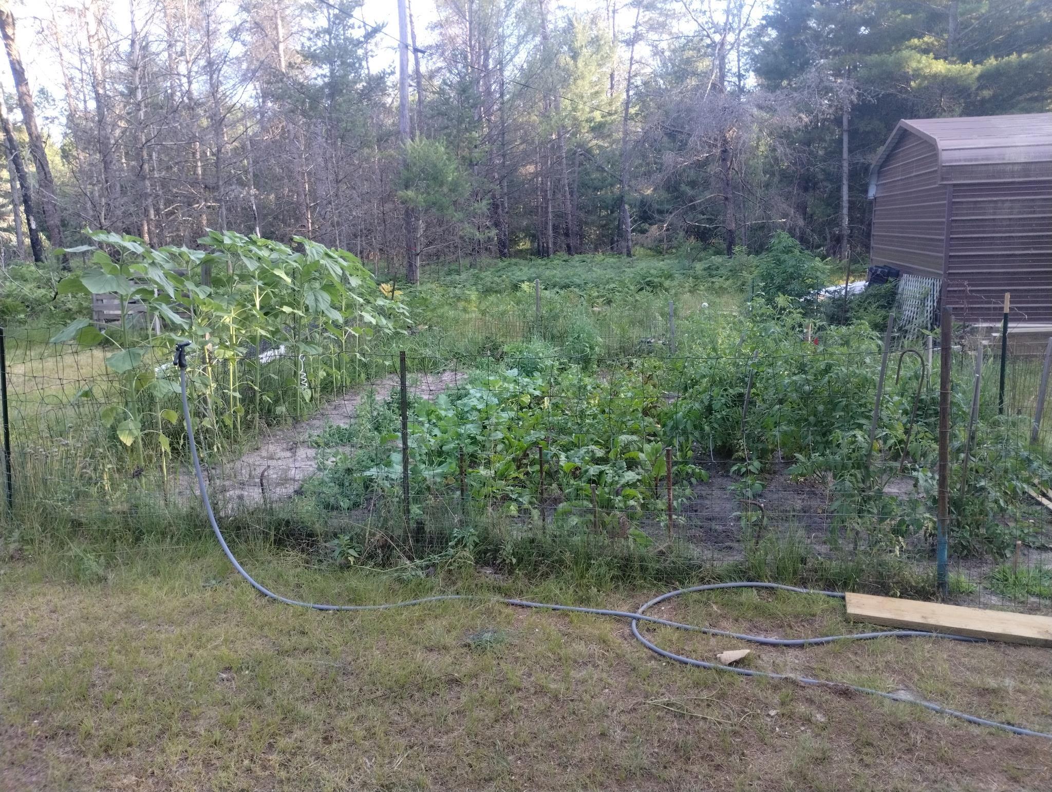 9890 SE Angel Road, Fife Lake, MI, 49633