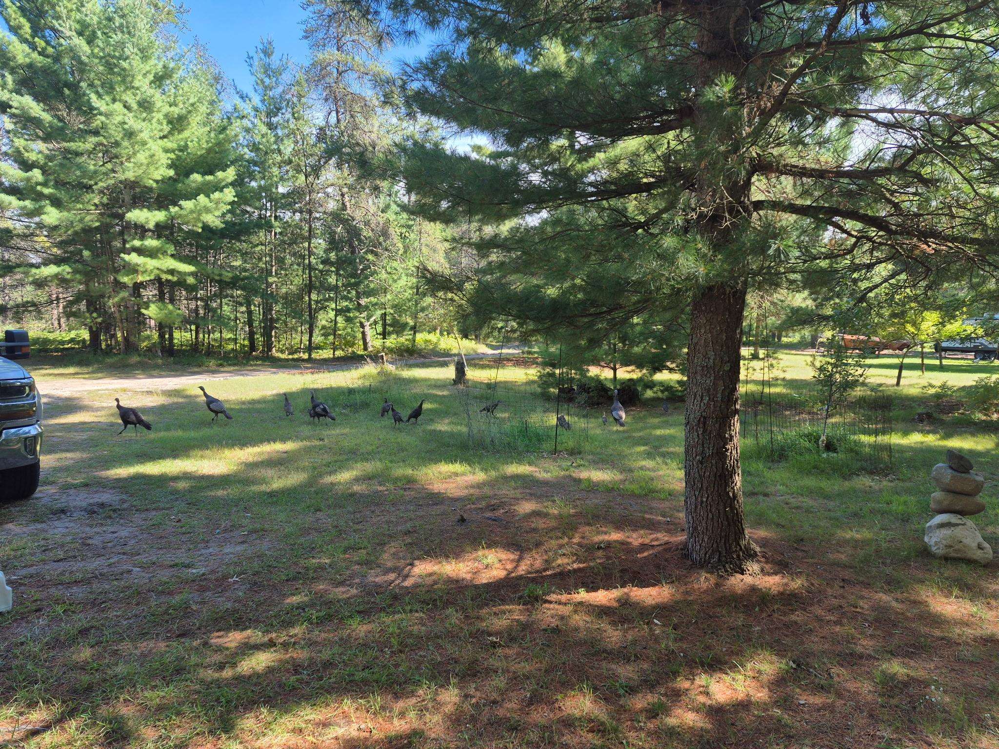 9890 SE Angel Road, Fife Lake, MI, 49633