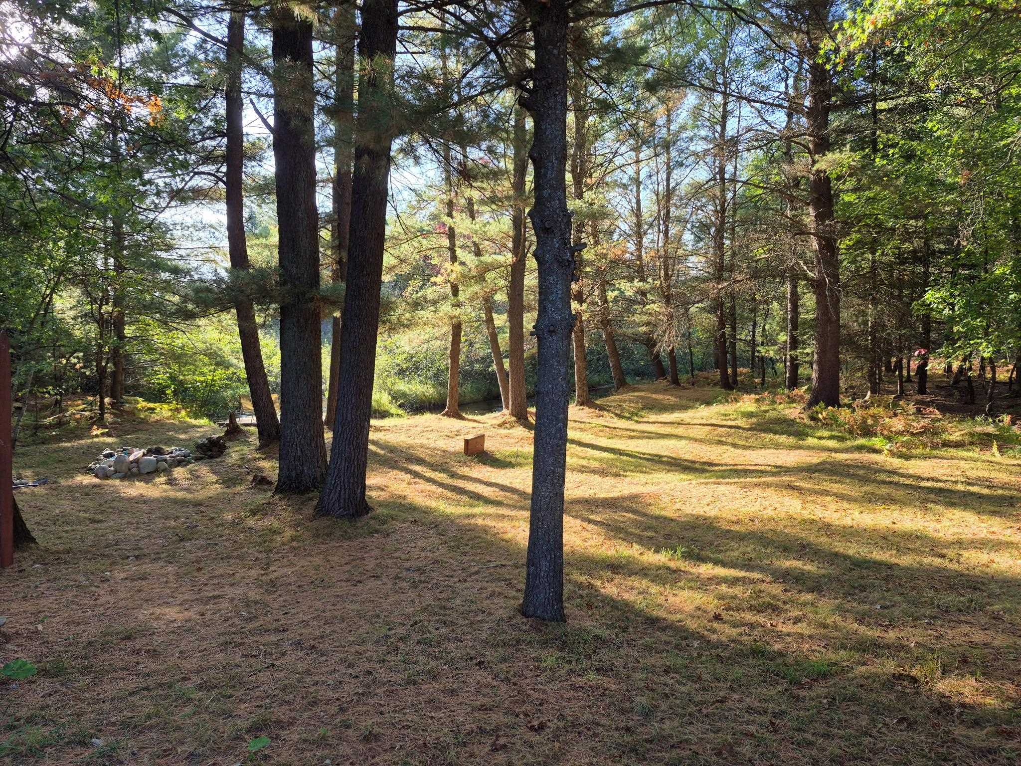 9890 SE Angel Road, Fife Lake, MI, 49633