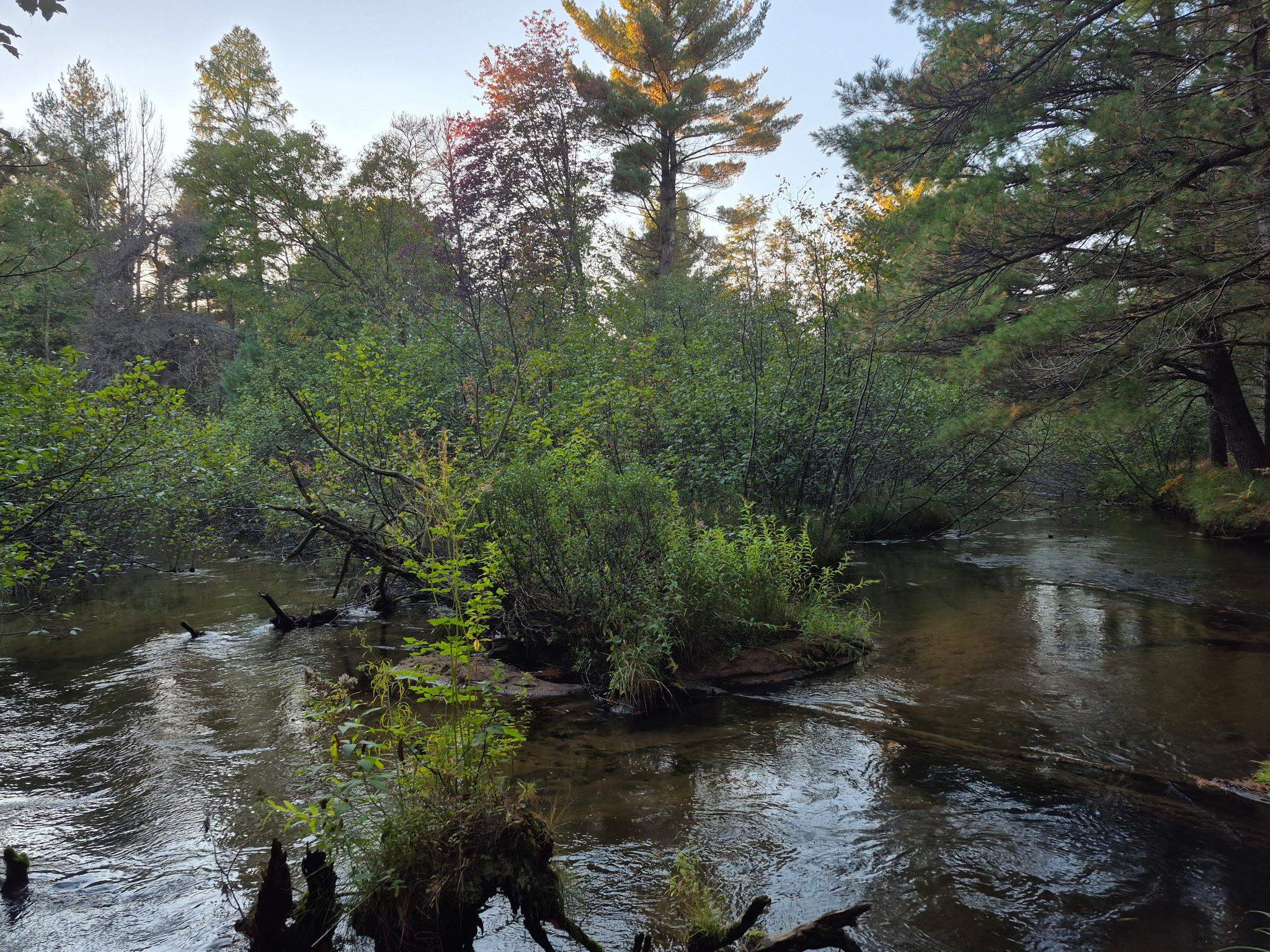 9890 SE Angel Road, Fife Lake, MI, 49633