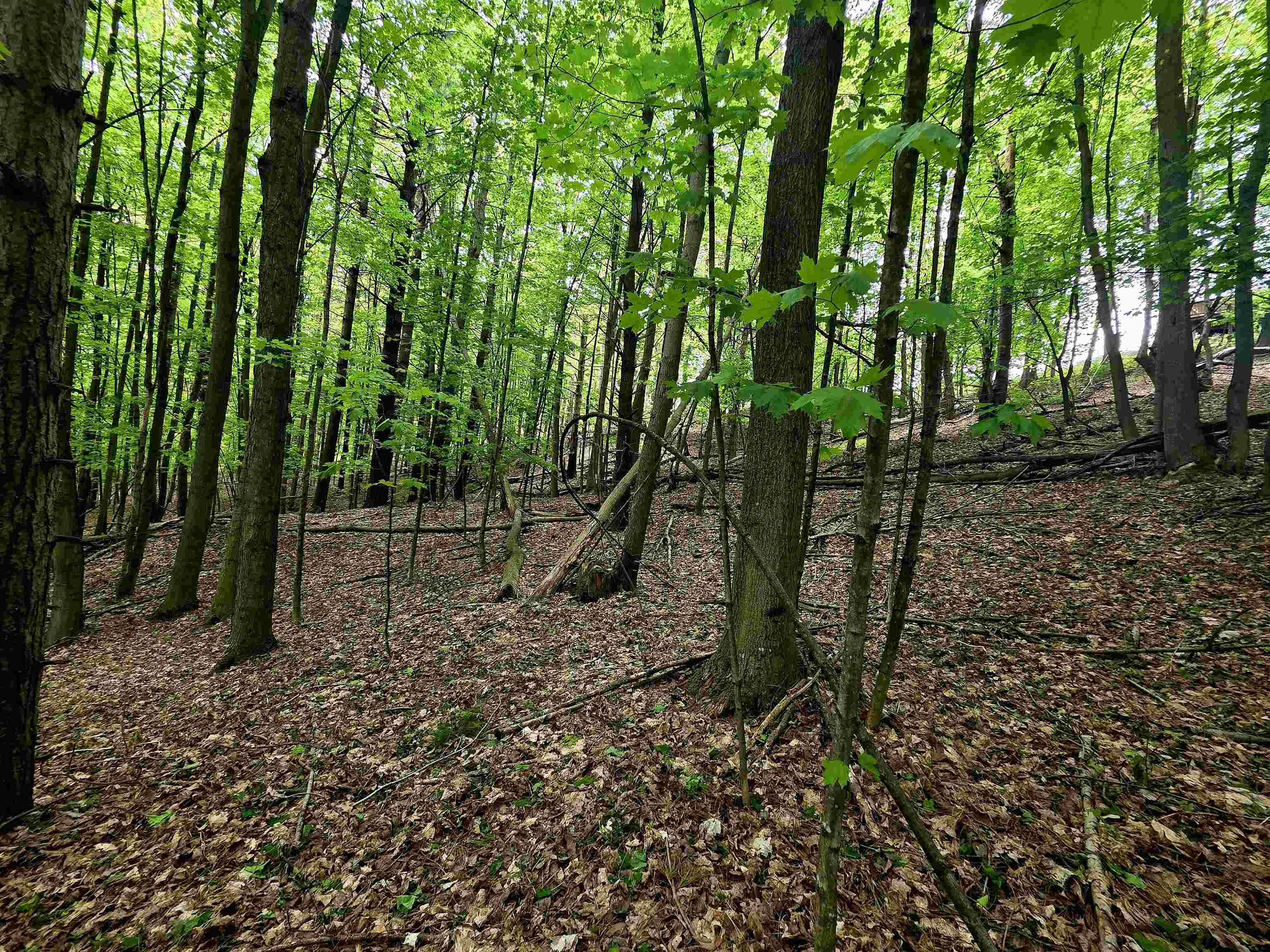 00 Sugar Bush Road, Kewadin, MI, 49648
