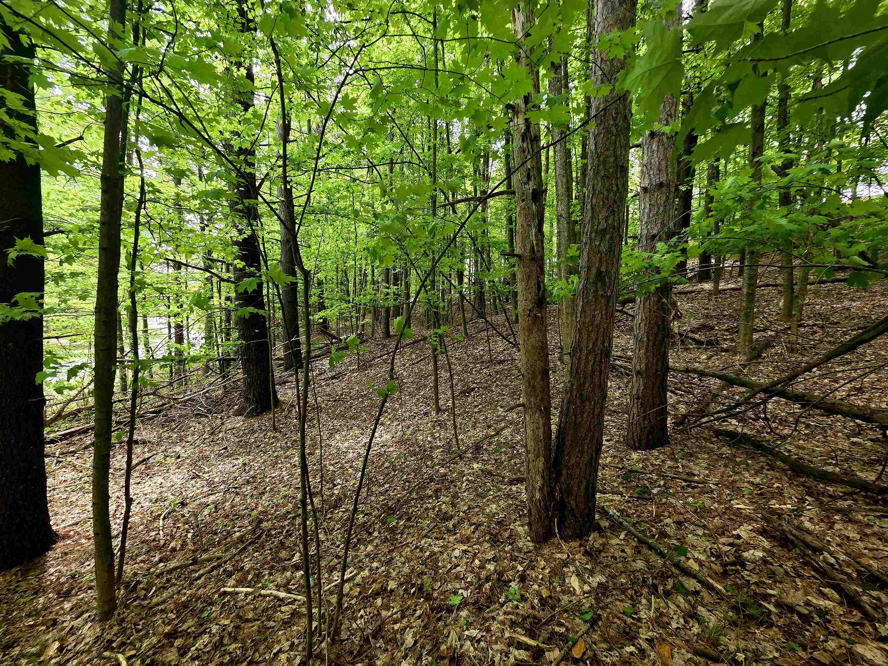 00 Sugar Bush Road, Kewadin, MI, 49648