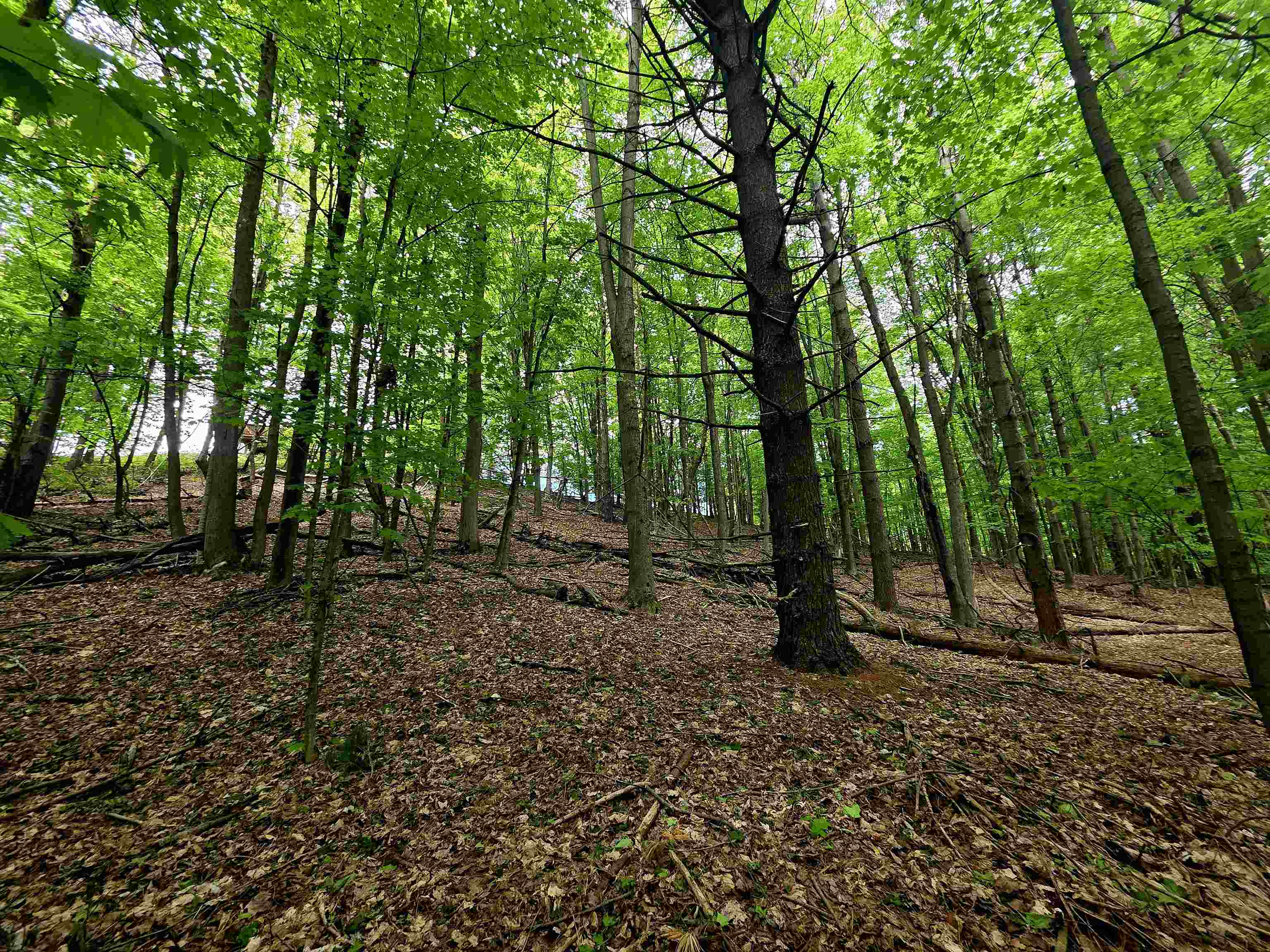 00 Sugar Bush Road, Kewadin, MI, 49648