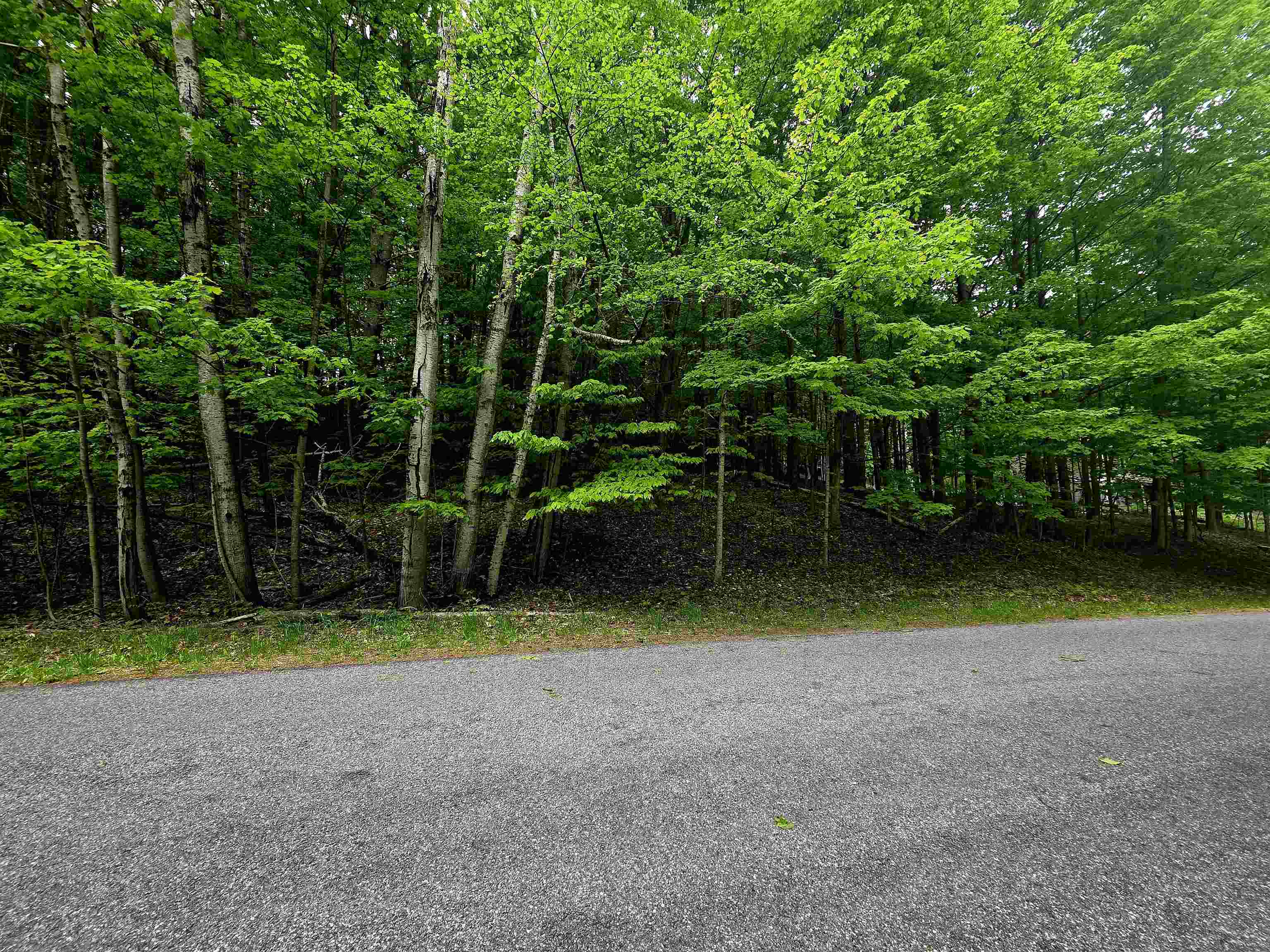 00 Sugar Bush Road, Kewadin, MI, 49648