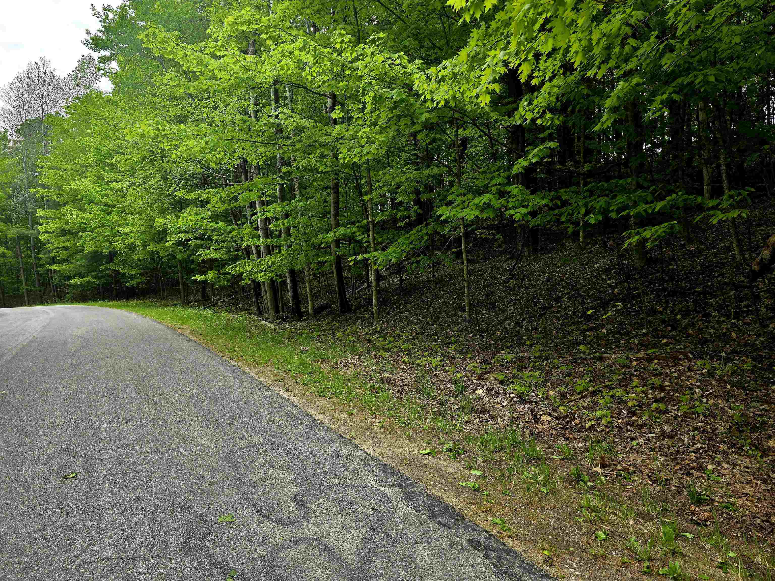 00 Sugar Bush Road, Kewadin, MI, 49648