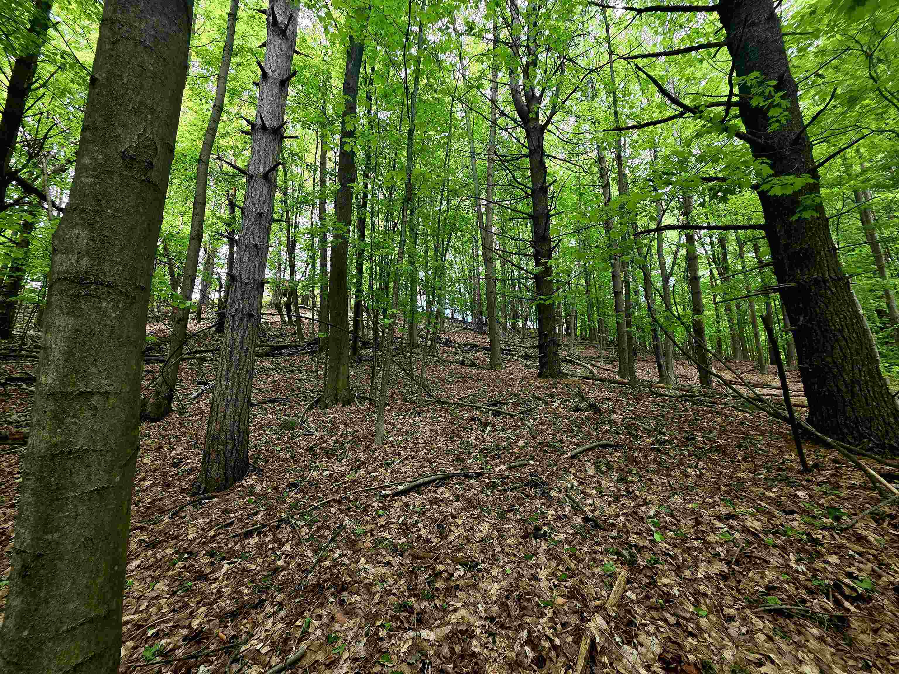 00 Sugar Bush Road, Kewadin, MI, 49648