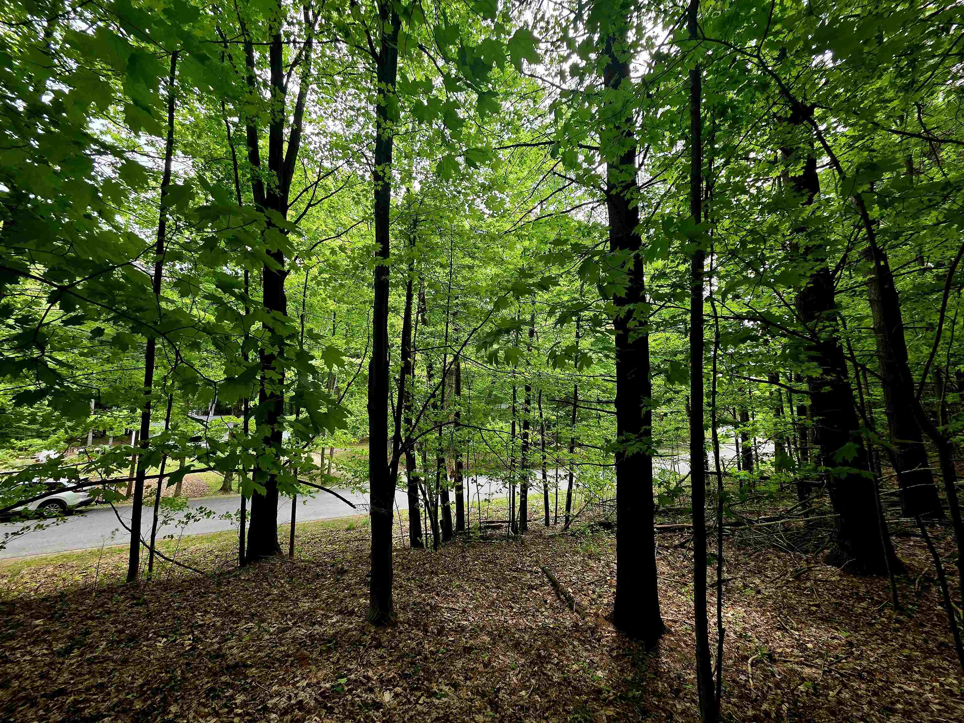 00 Sugar Bush Road, Kewadin, MI, 49648