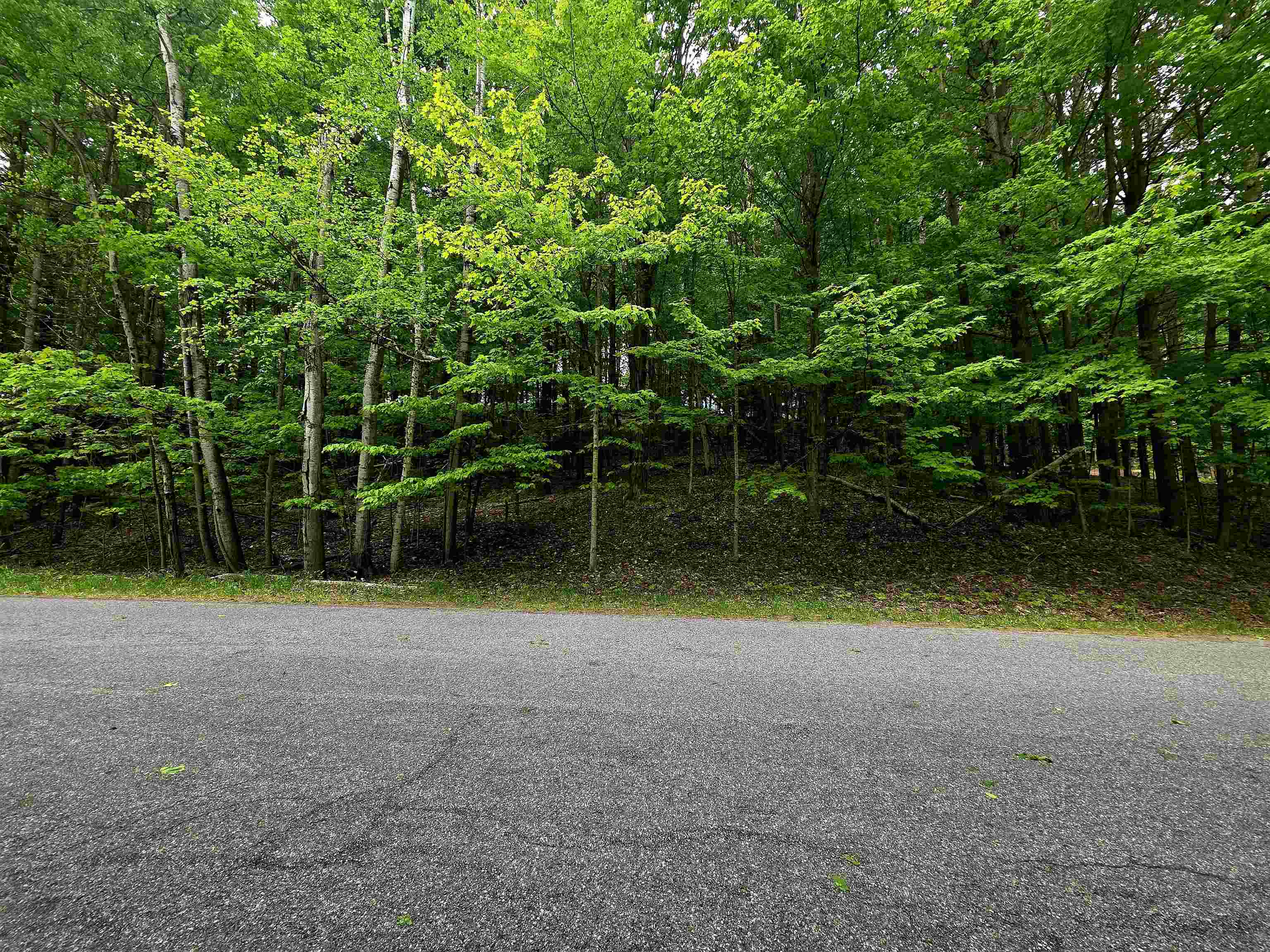 00 Sugar Bush Road, Kewadin, MI, 49648