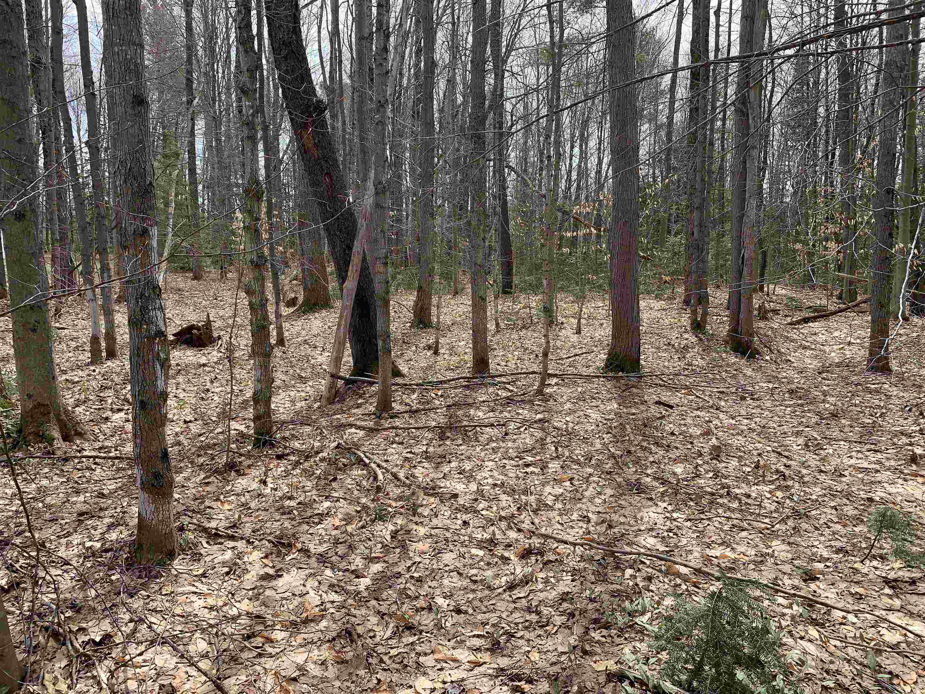 8222 NE Bass Avenue, Kalkaska, MI, 49646