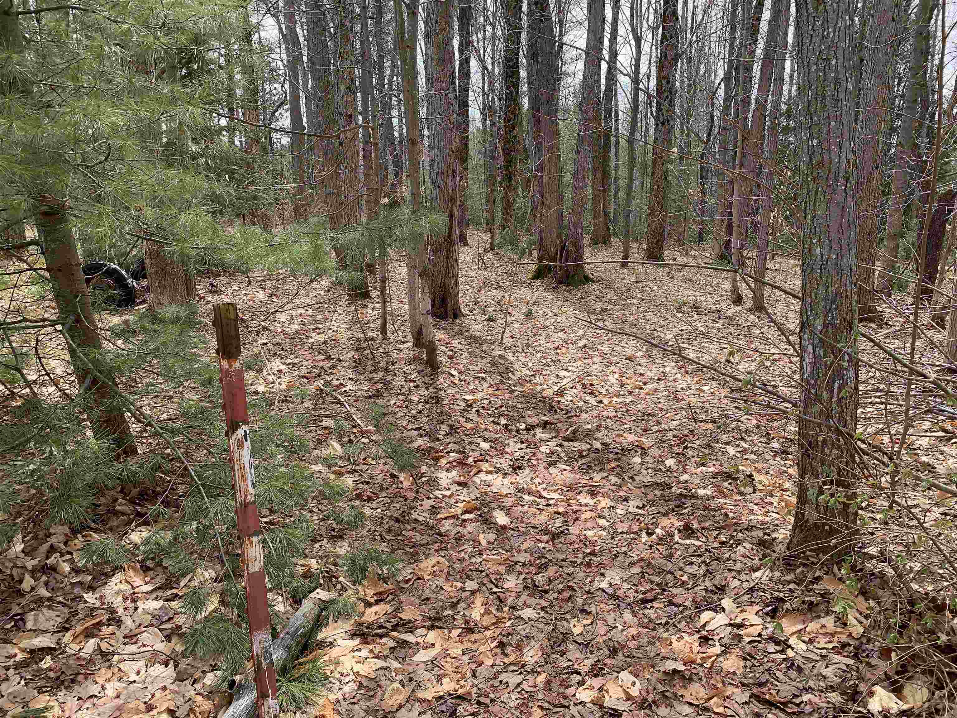 8222 NE Bass Avenue, Kalkaska, MI, 49646