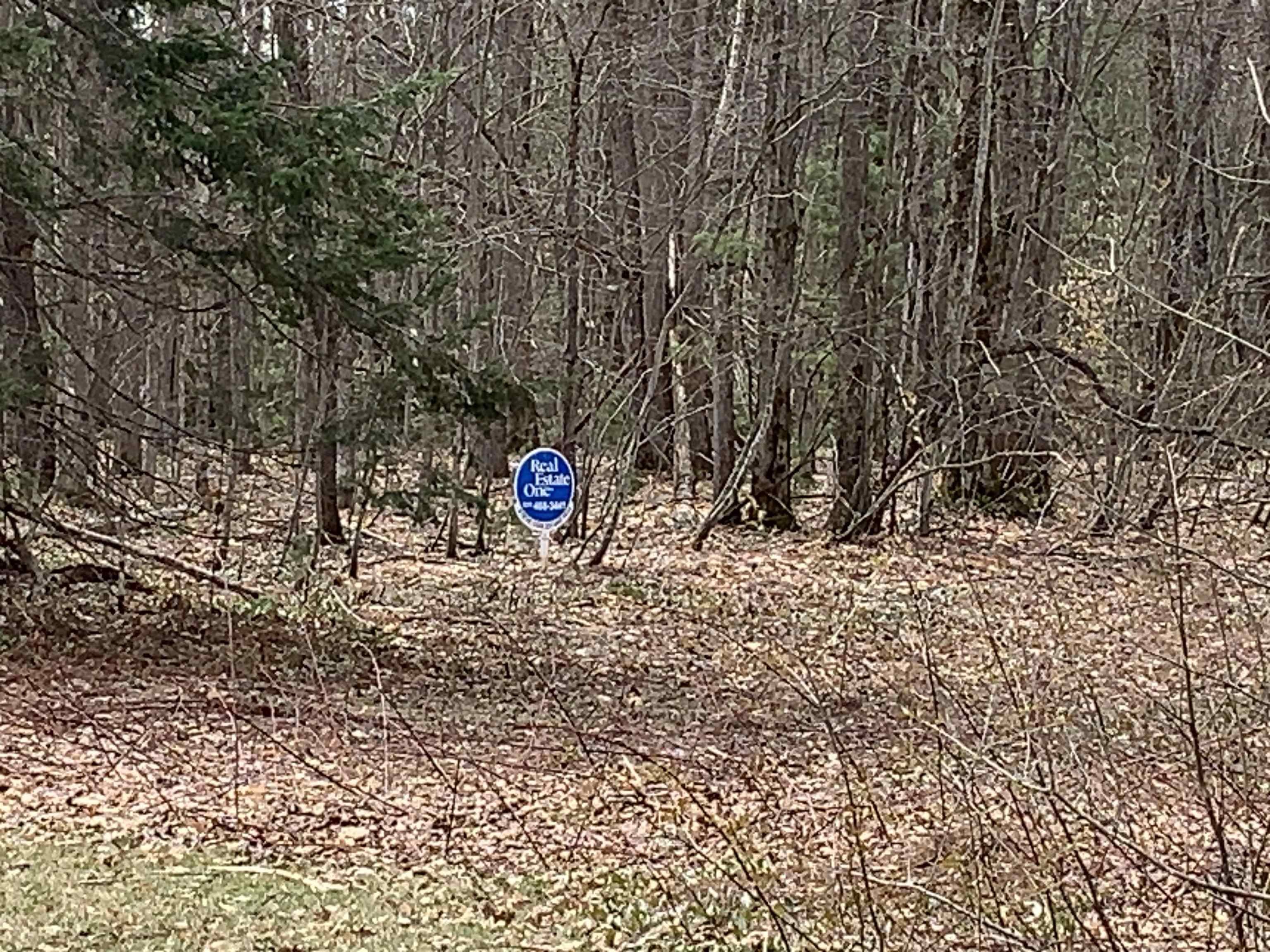 8222 NE Bass Avenue, Kalkaska, MI, 49646