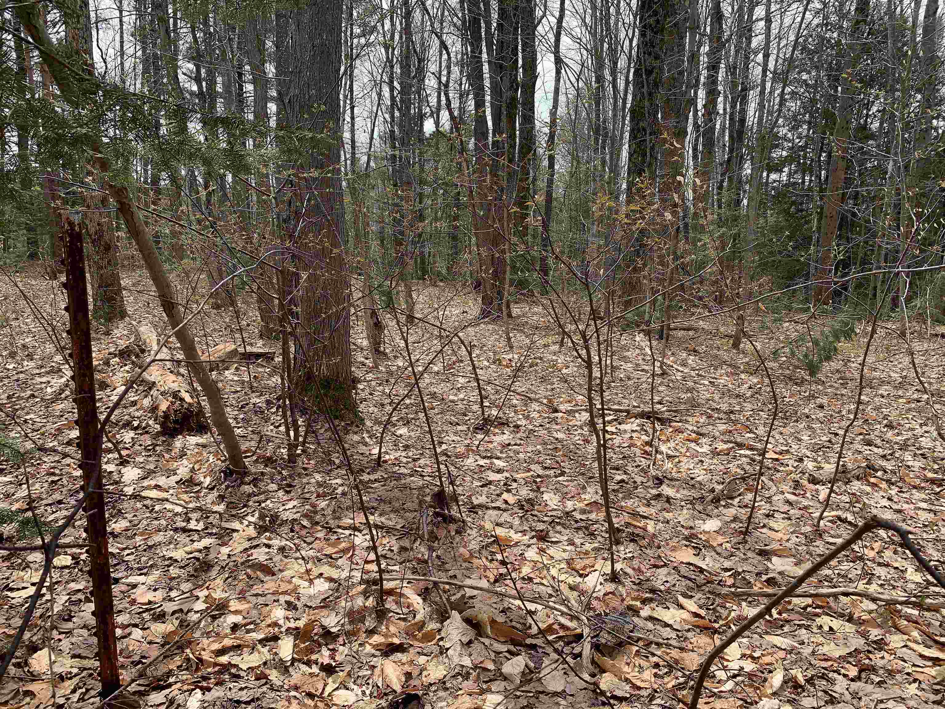 8222 NE Bass Avenue, Kalkaska, MI, 49646