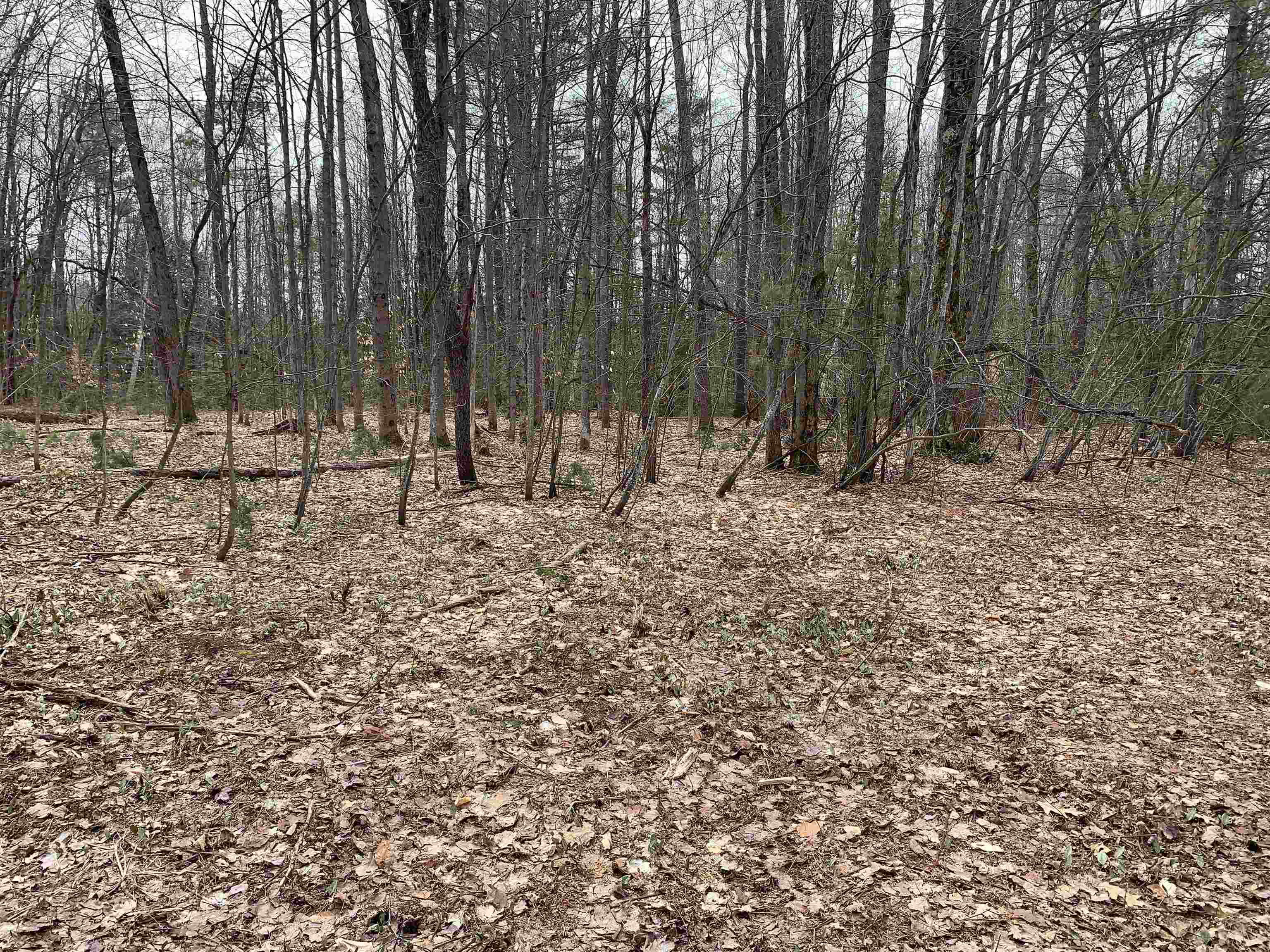 8222 NE Bass Avenue, Kalkaska, MI, 49646