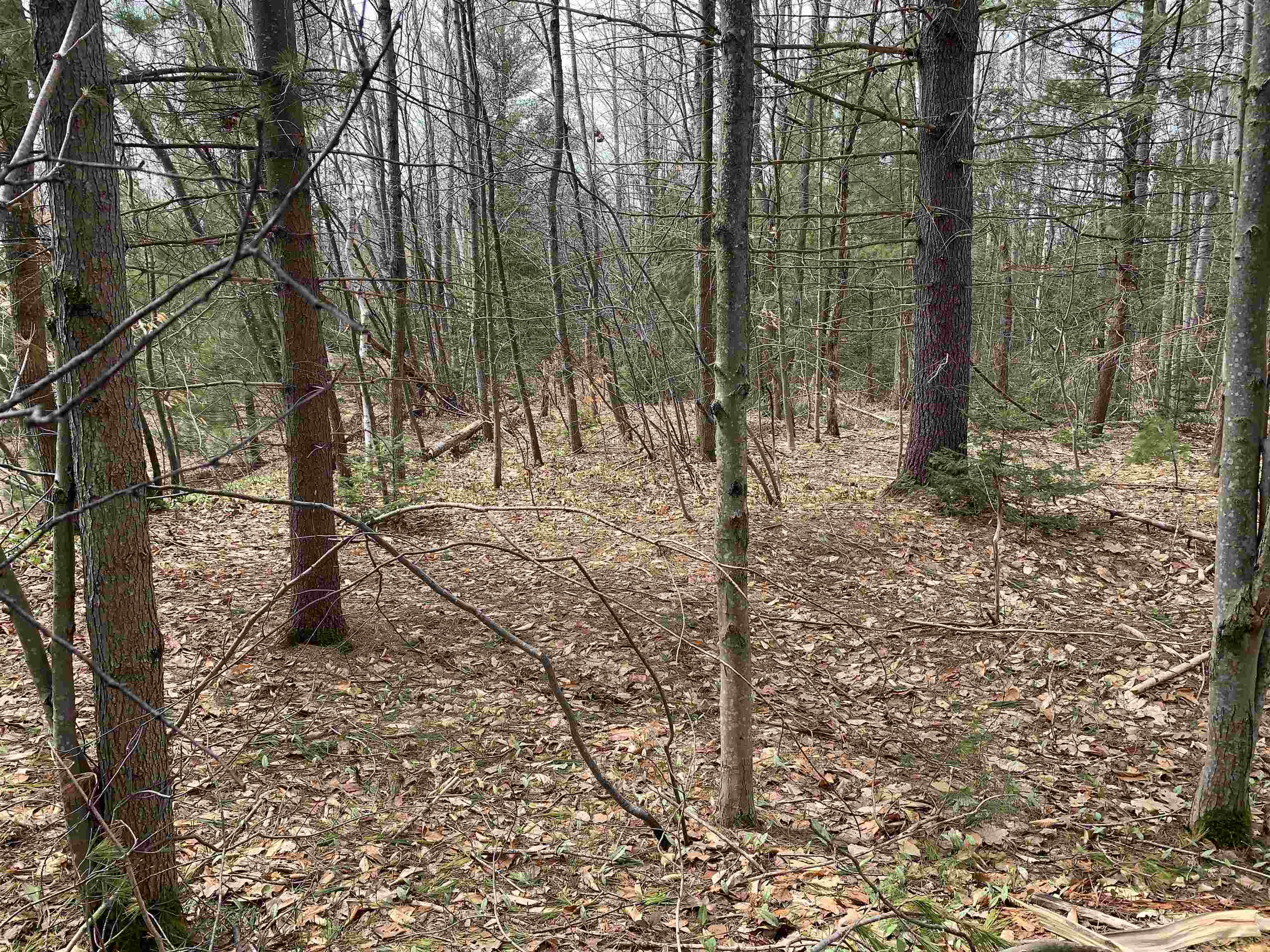 8222 NE Bass Avenue, Kalkaska, MI, 49646