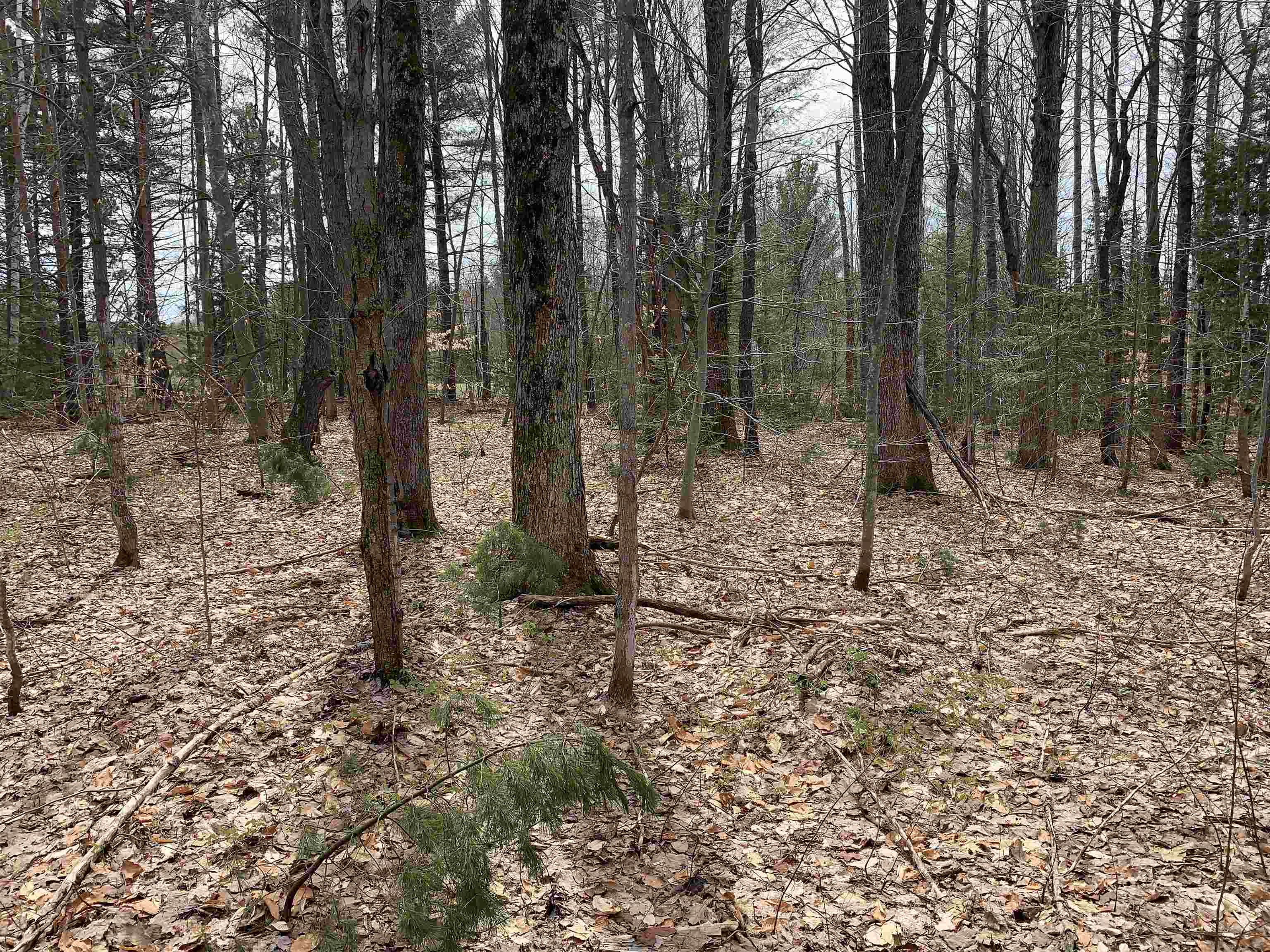 8222 NE Bass Avenue, Kalkaska, MI, 49646