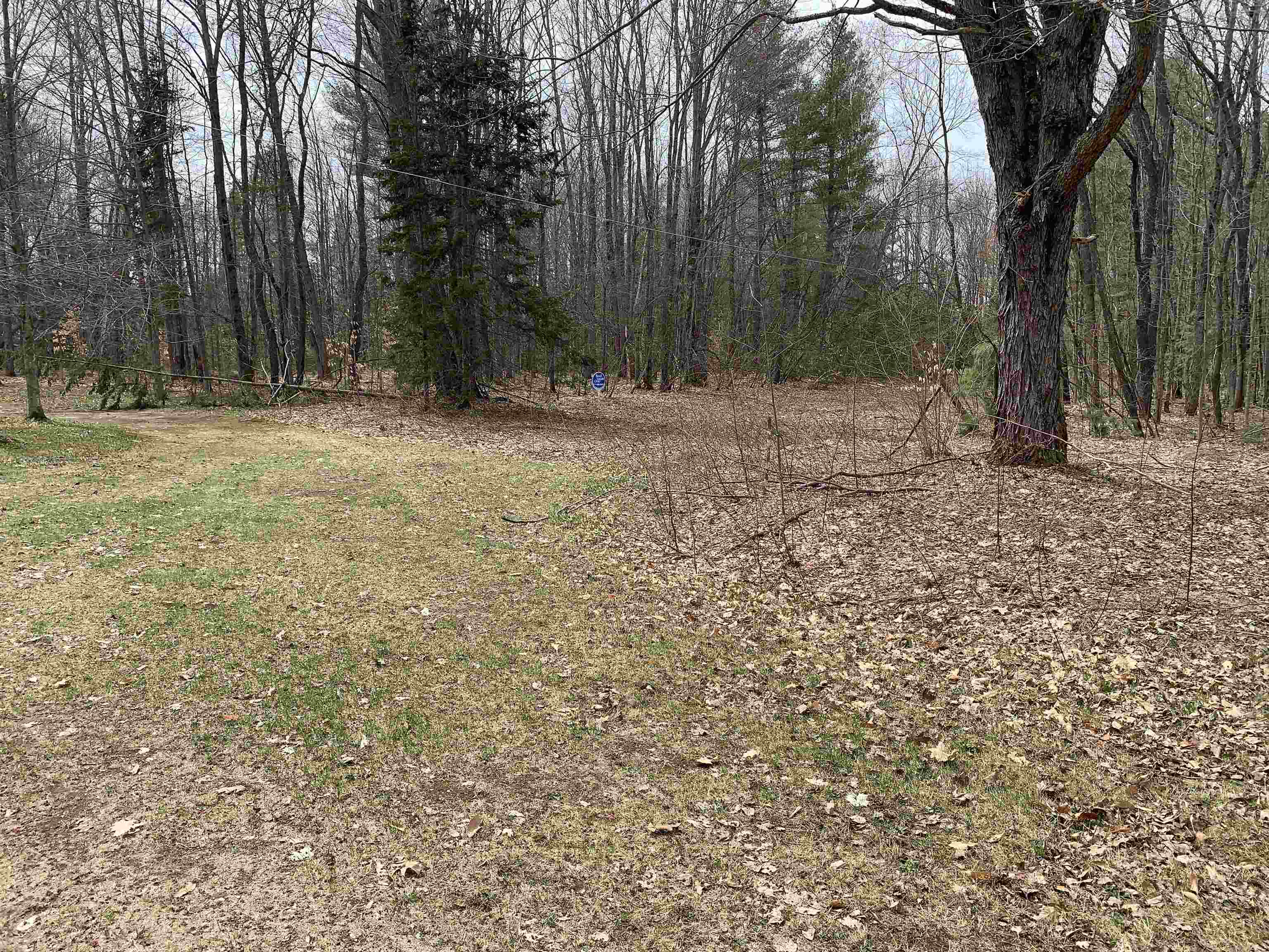 8222 NE Bass Avenue, Kalkaska, MI, 49646