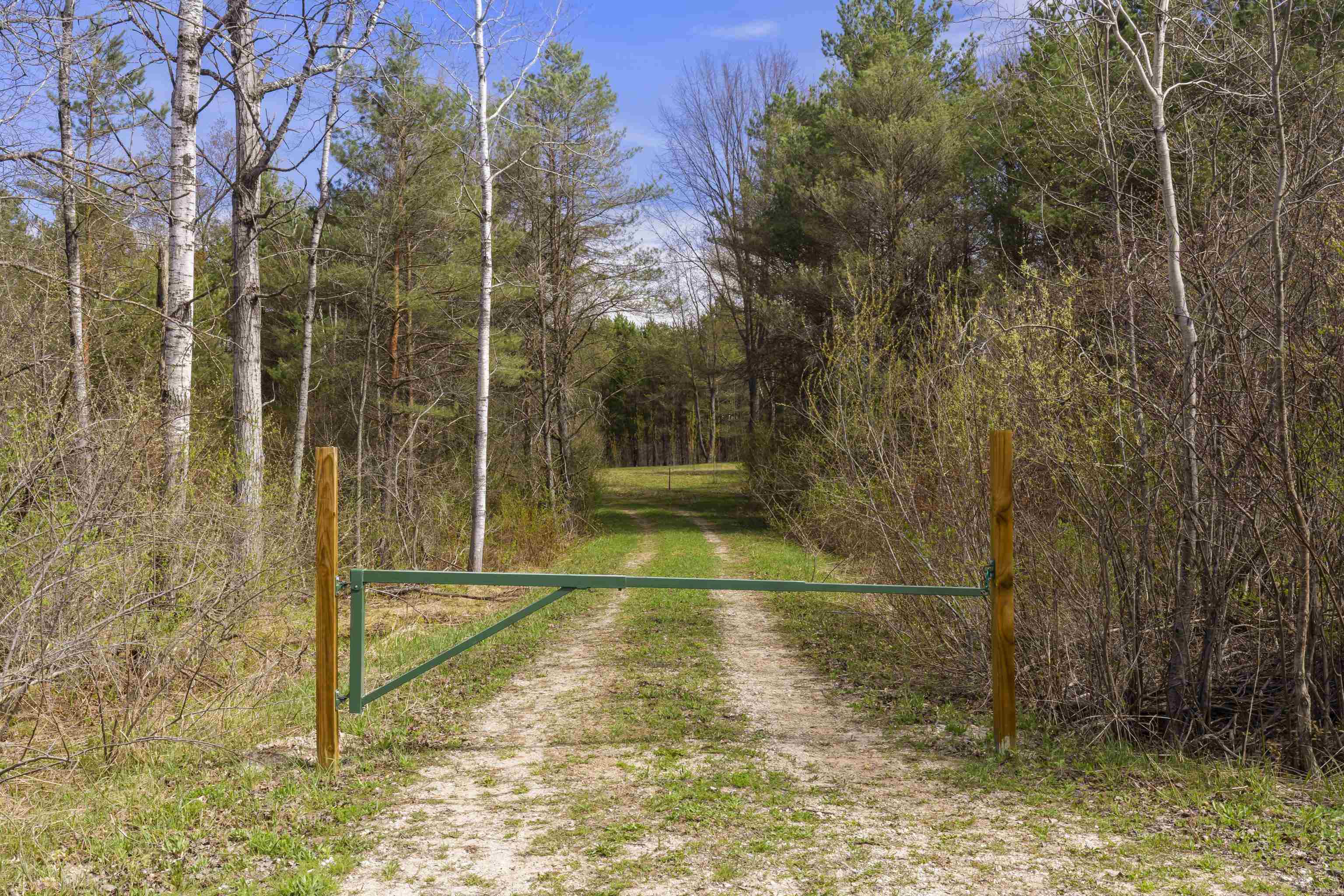 00Z0 Dzuibanek Road, Thompsonville, MI, 49683