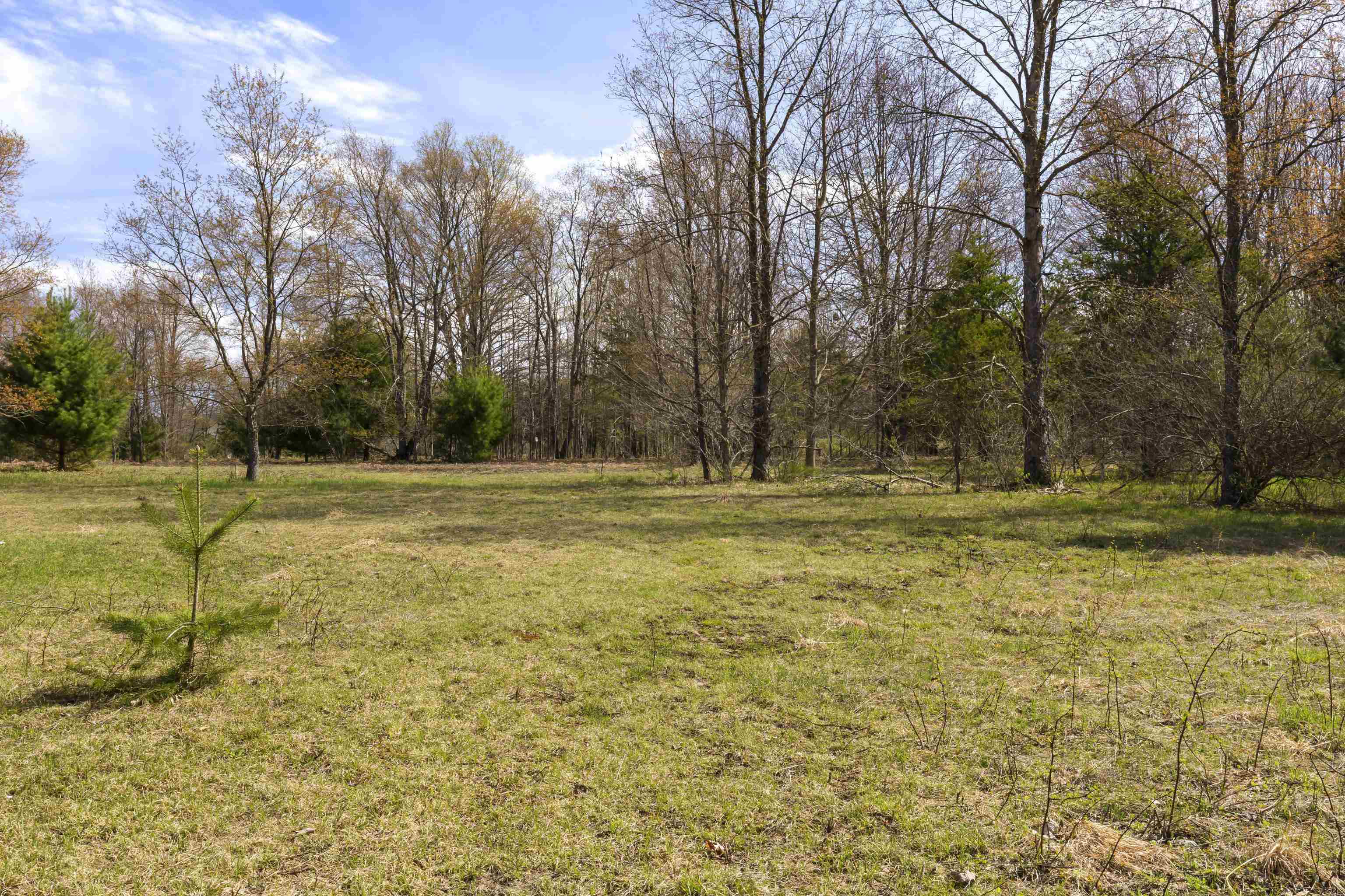 00Z0 Dzuibanek Road, Thompsonville, MI, 49683