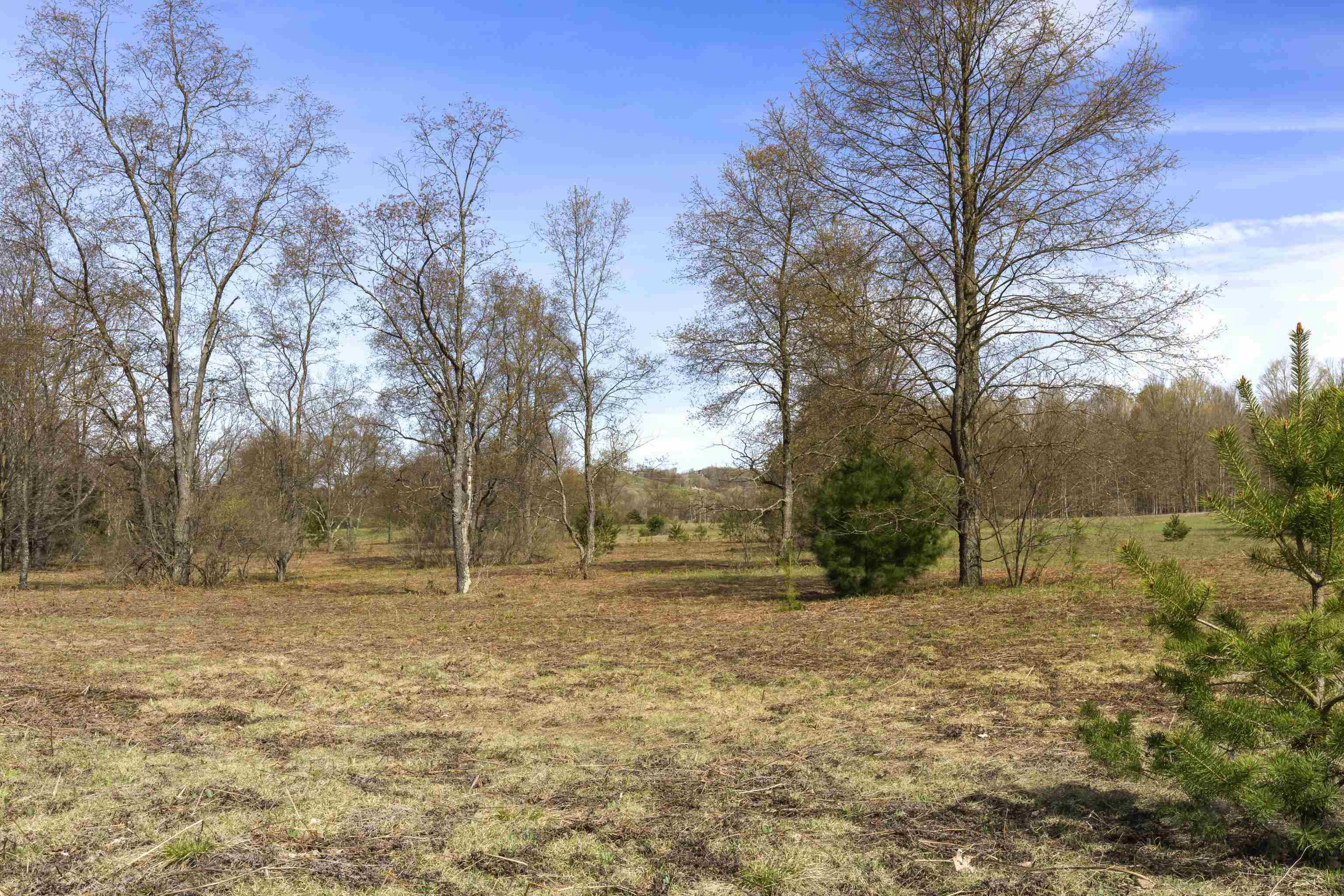 00Z0 Dzuibanek Road, Thompsonville, MI, 49683