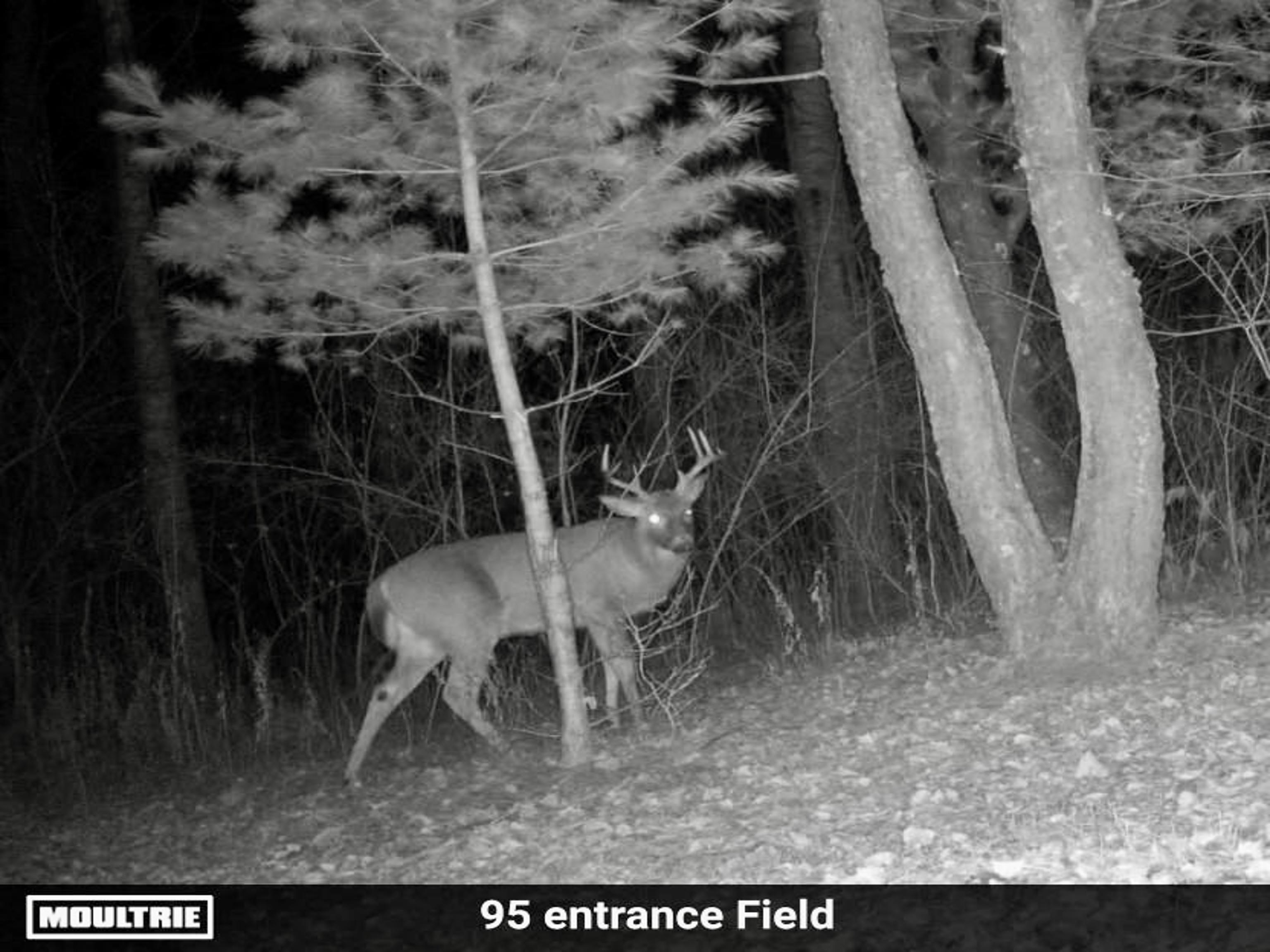 00Z0 Dzuibanek Road, Thompsonville, MI, 49683