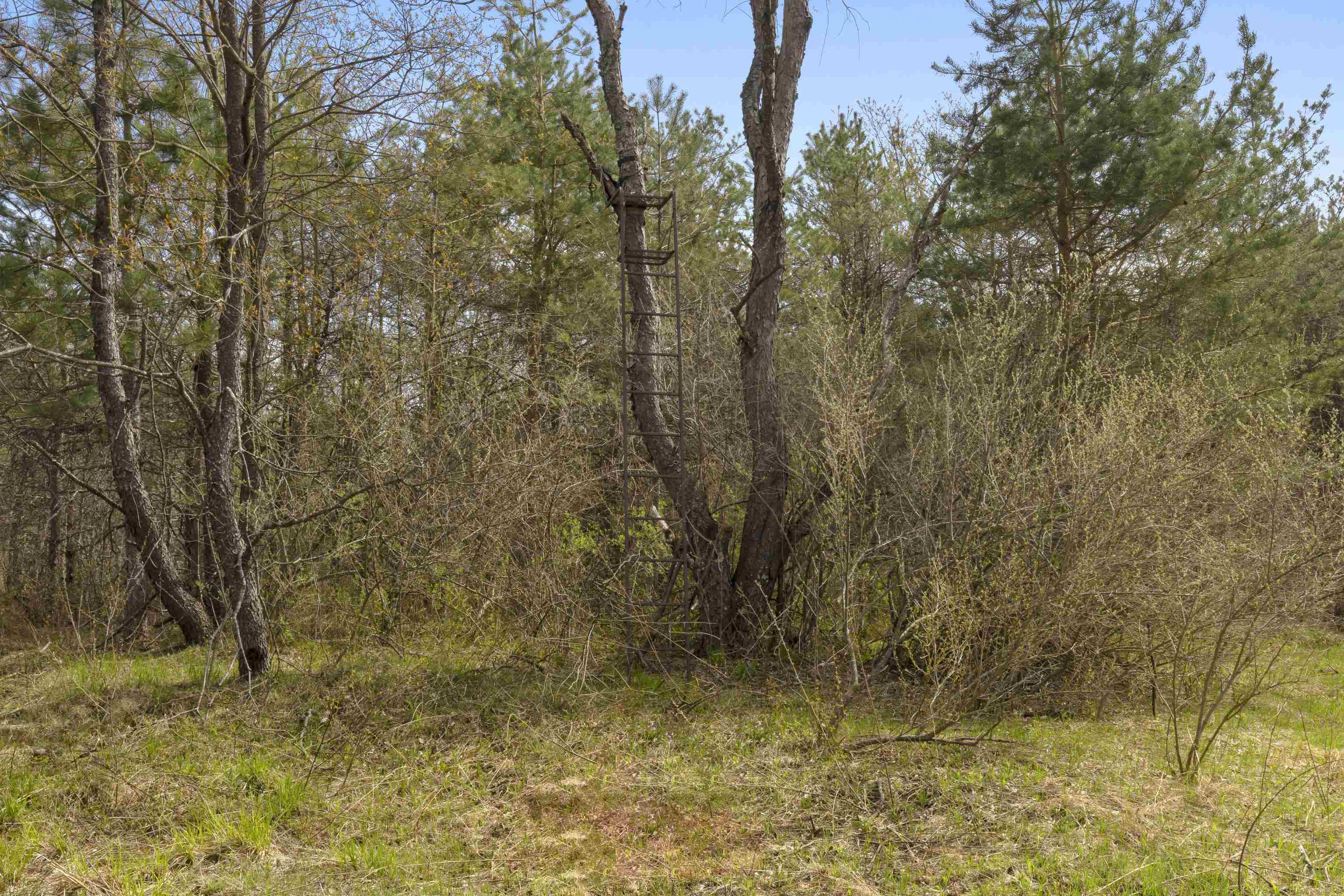 00Z0 Dzuibanek Road, Thompsonville, MI, 49683