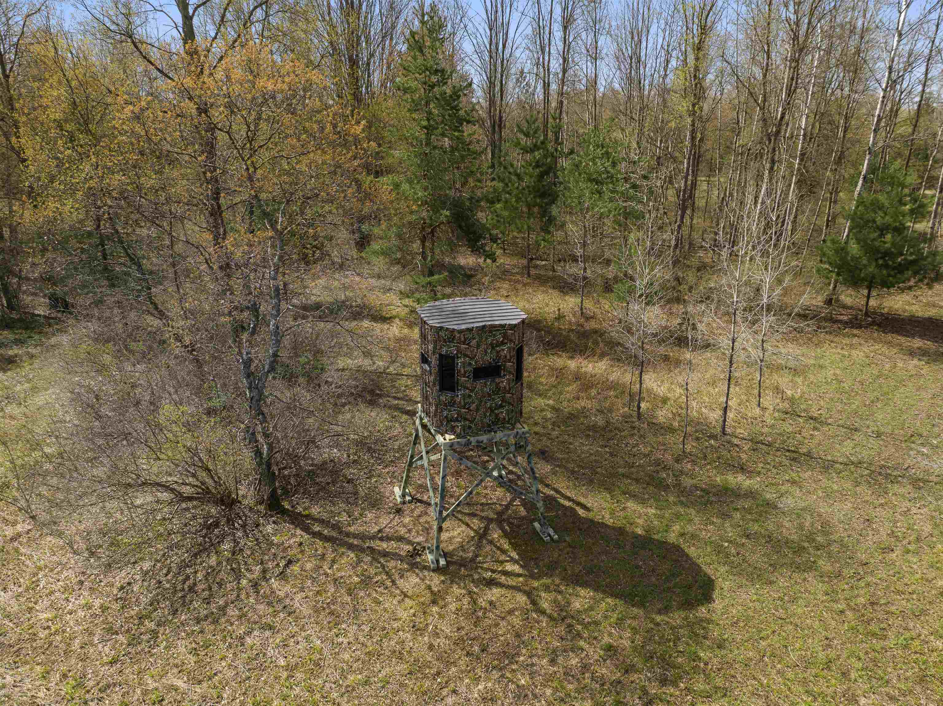 00Z0 Dzuibanek Road, Thompsonville, MI, 49683
