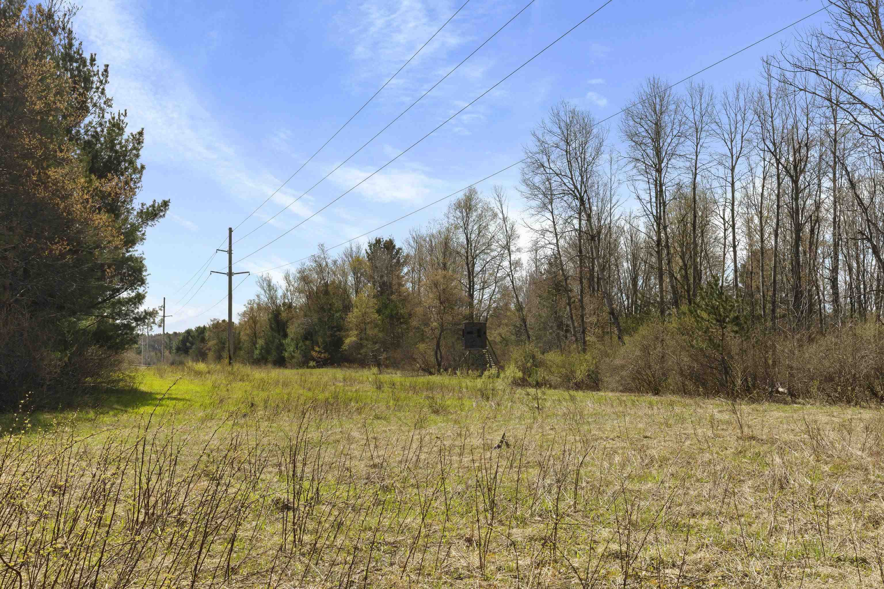 00Z0 Dzuibanek Road, Thompsonville, MI, 49683