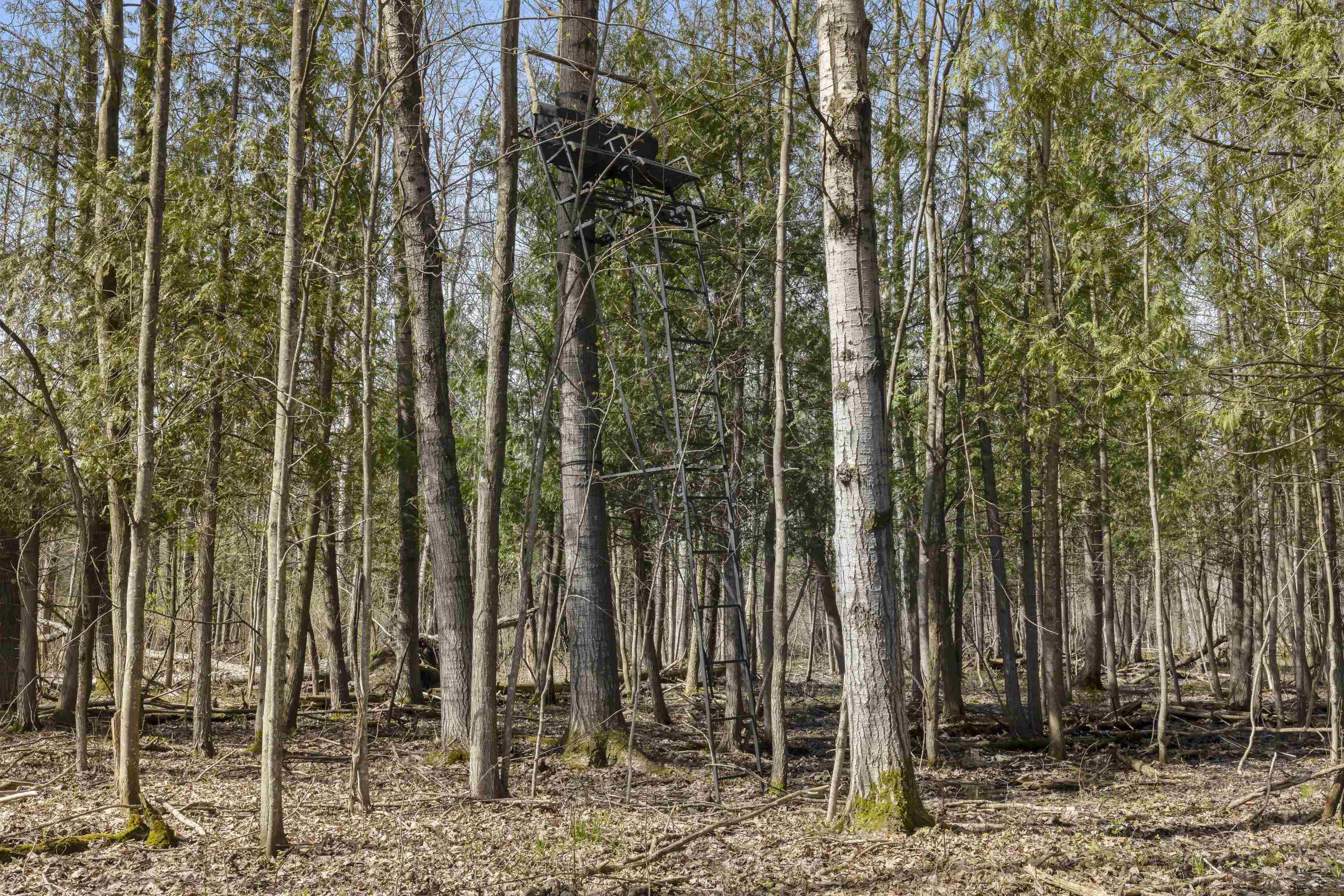 00Z0 Dzuibanek Road, Thompsonville, MI, 49683