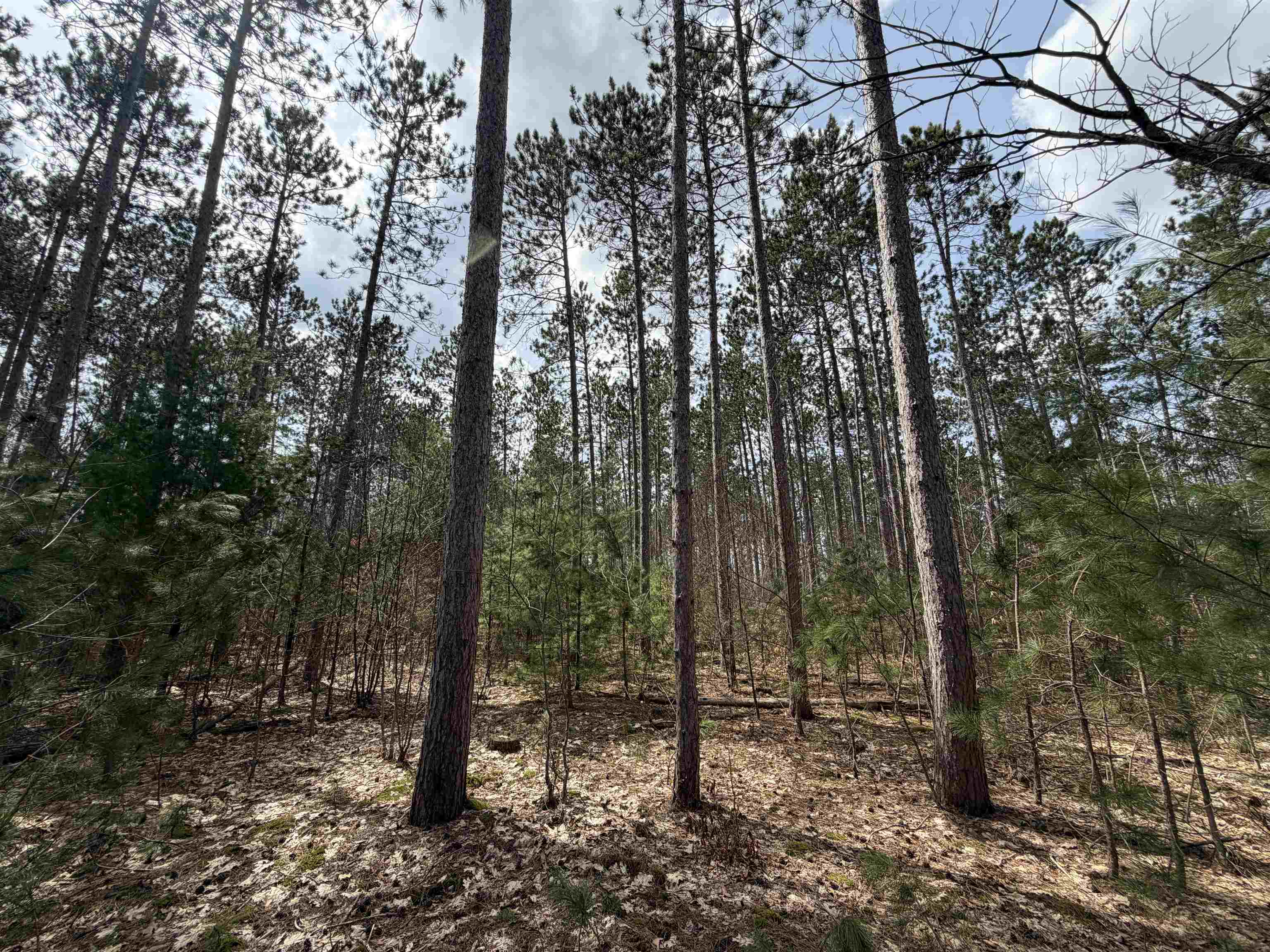 Hoosier Valley Road, Traverse City, MI, 49685