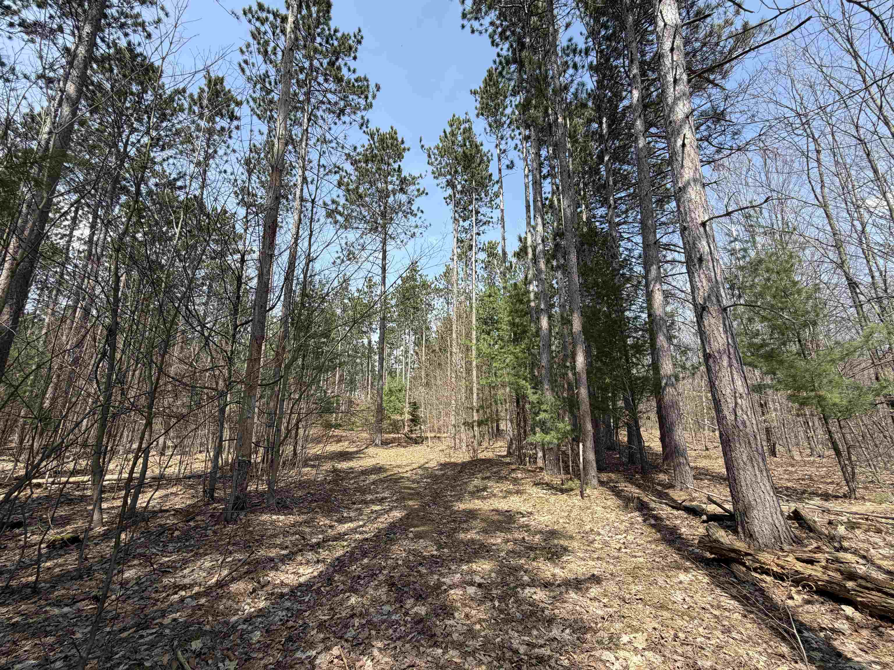 Hoosier Valley Road, Traverse City, MI, 49685