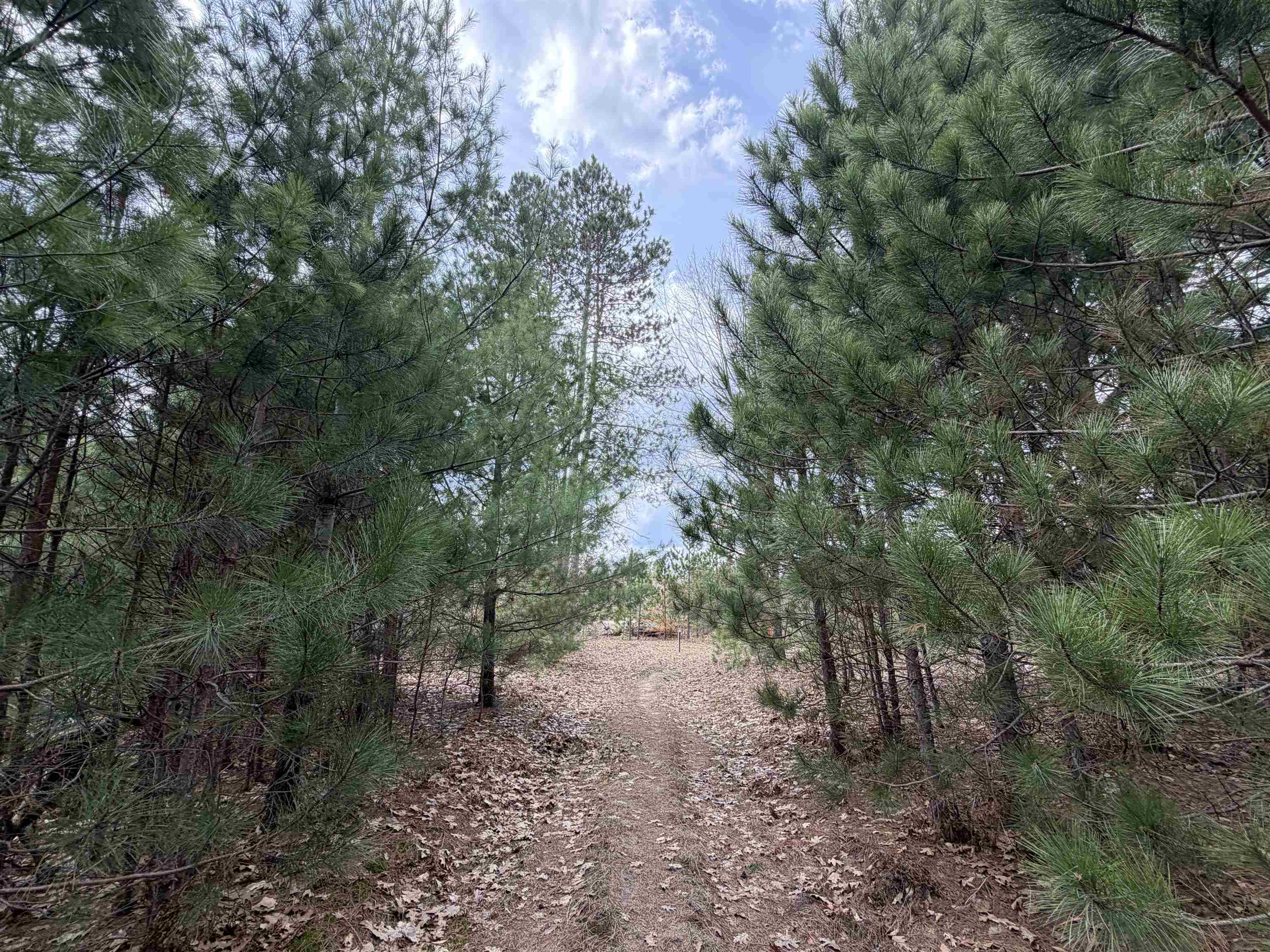 Hoosier Valley Road, Traverse City, MI, 49685