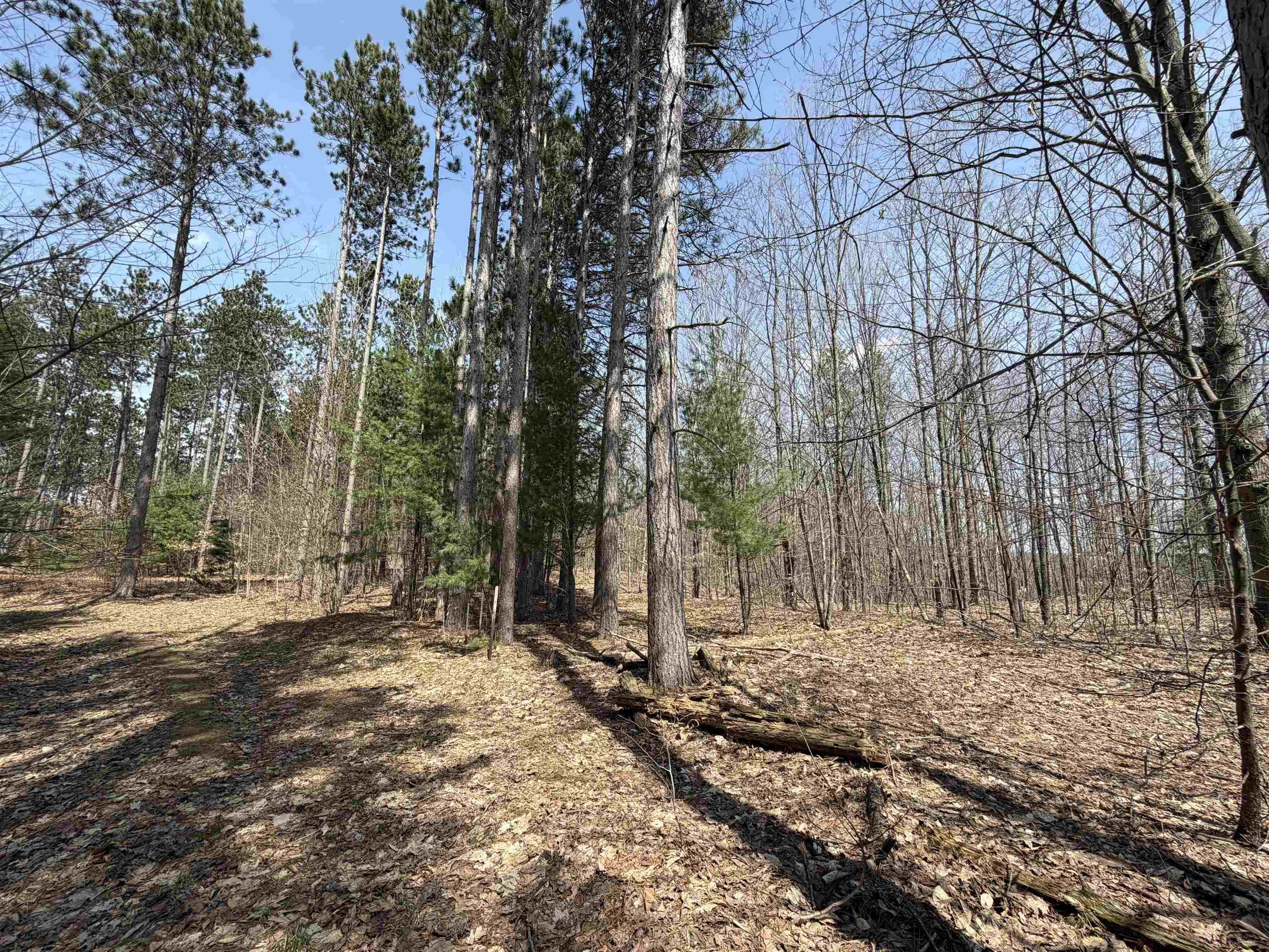Hoosier Valley Road, Traverse City, MI, 49685