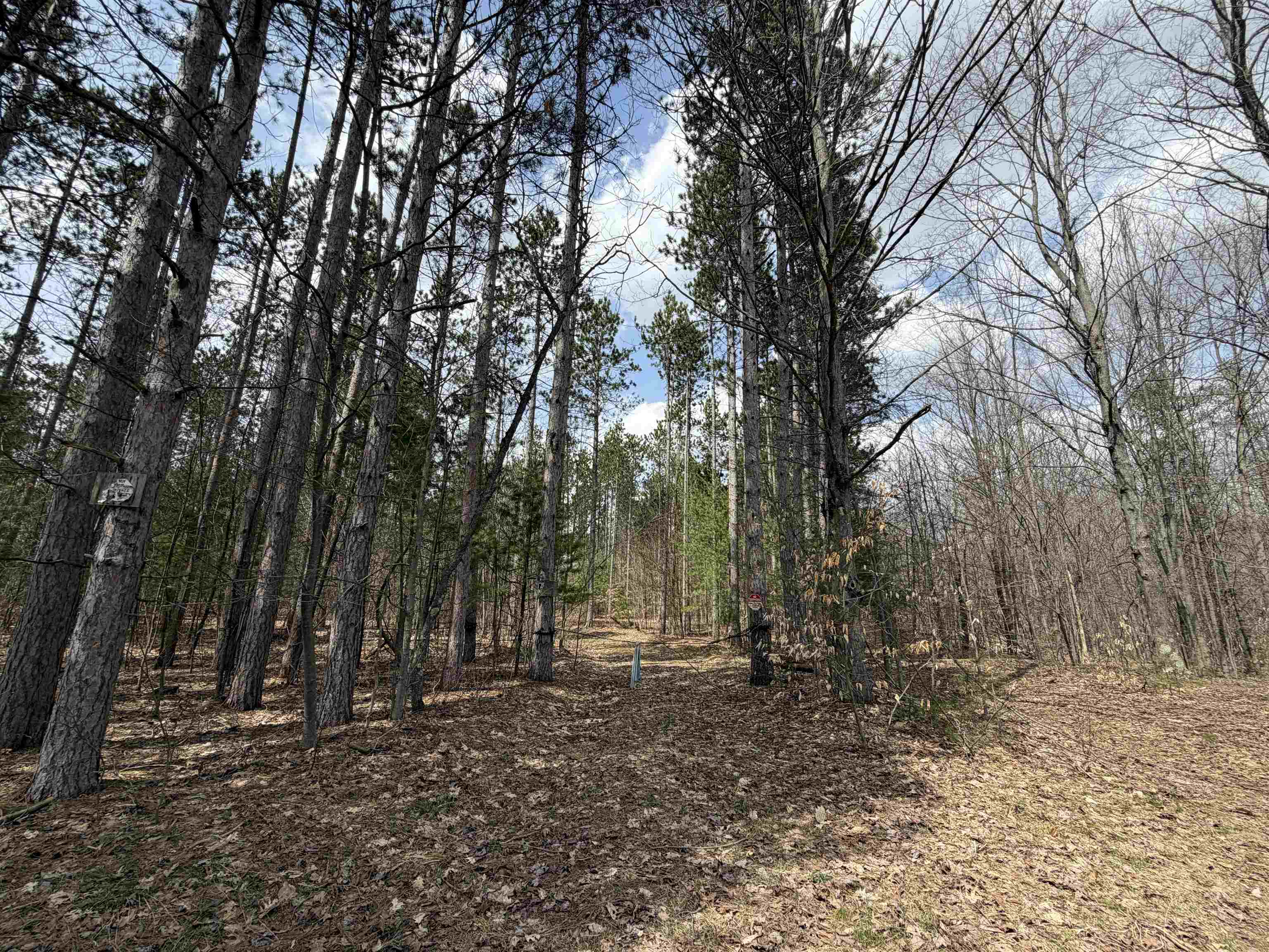 Hoosier Valley Road, Traverse City, MI, 49685