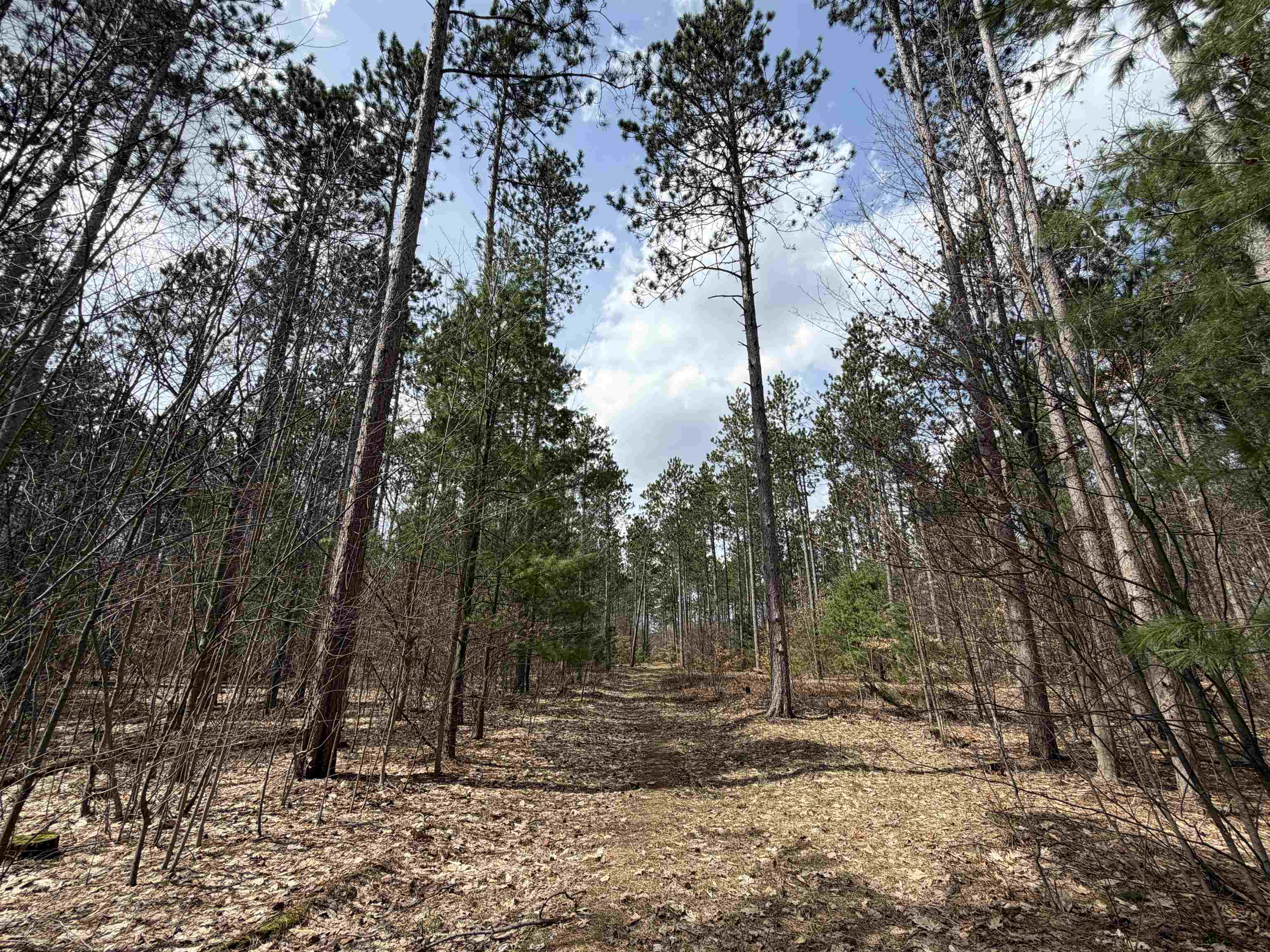 Hoosier Valley Road, Traverse City, MI, 49685