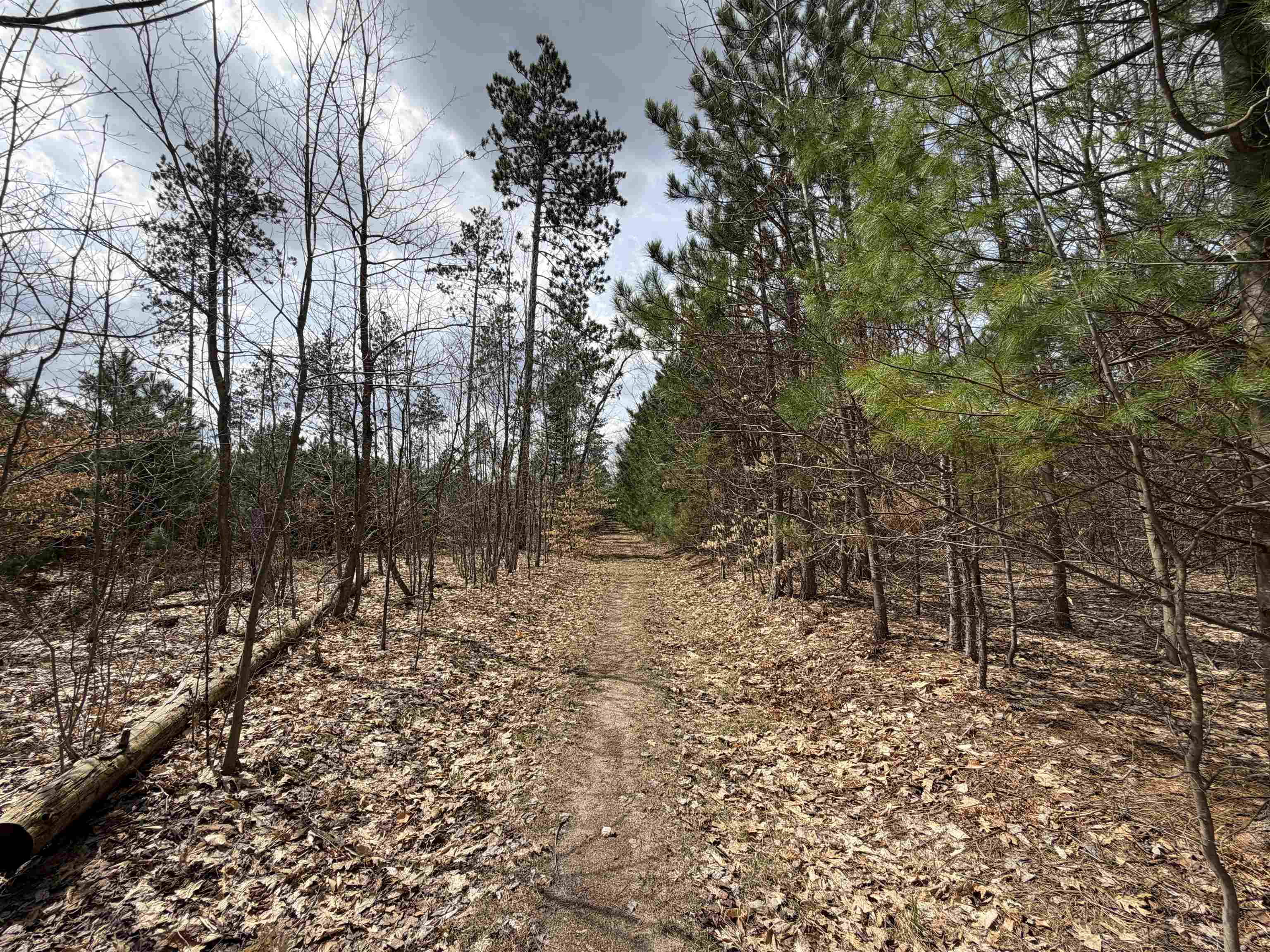 Hoosier Valley Road, Traverse City, MI, 49685