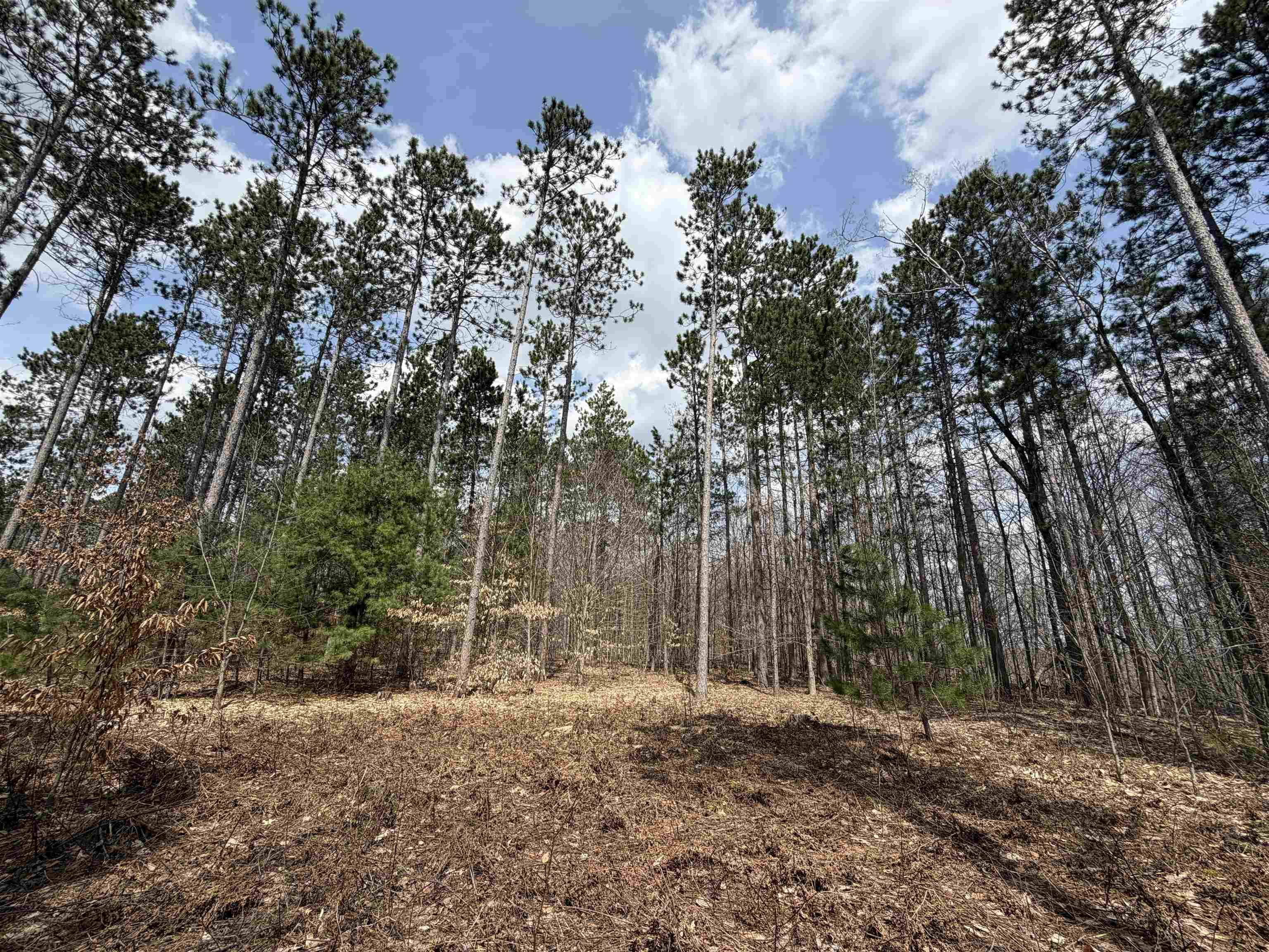 Hoosier Valley Road, Traverse City, MI, 49685