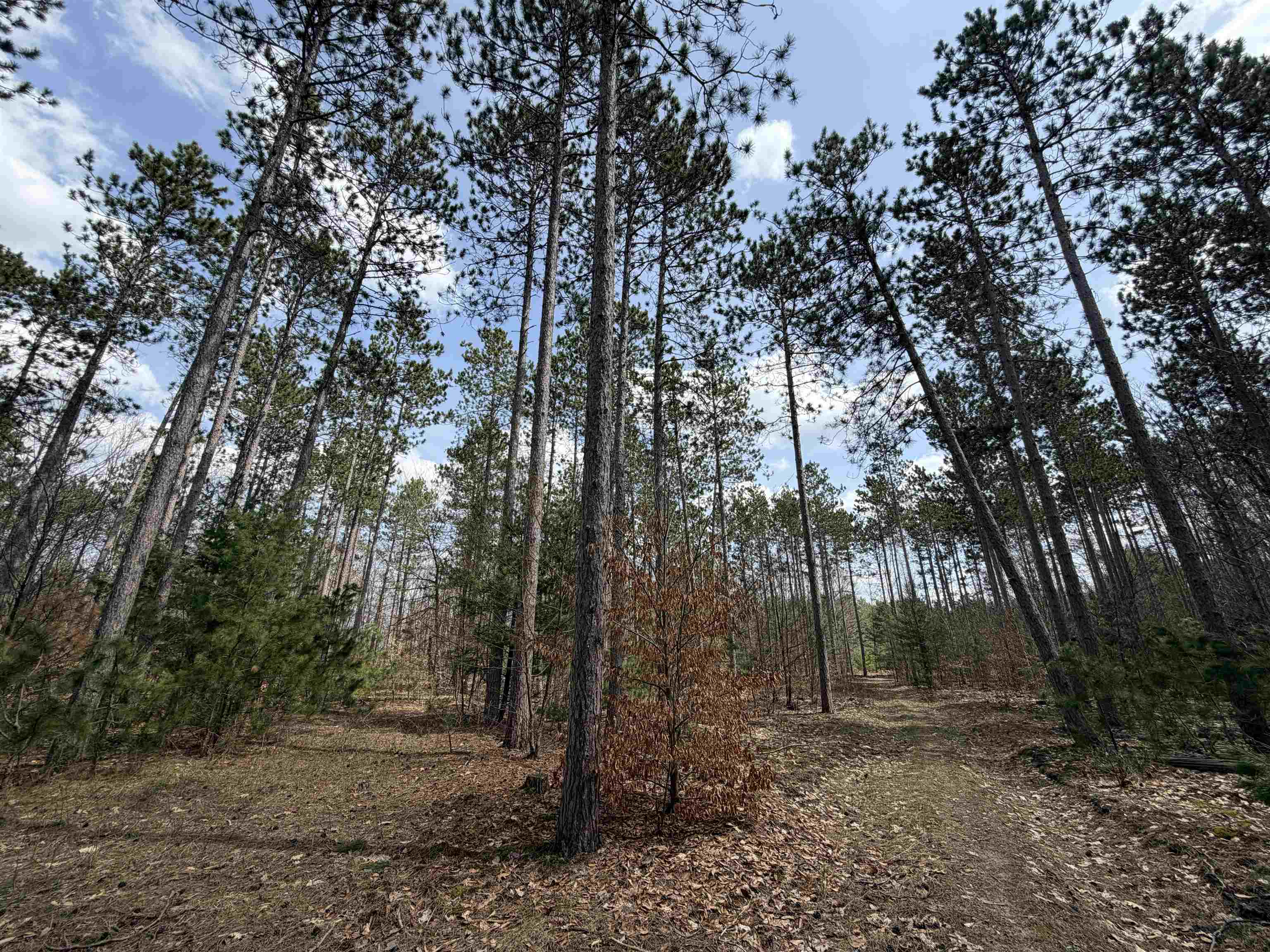 Hoosier Valley Road, Traverse City, MI, 49685