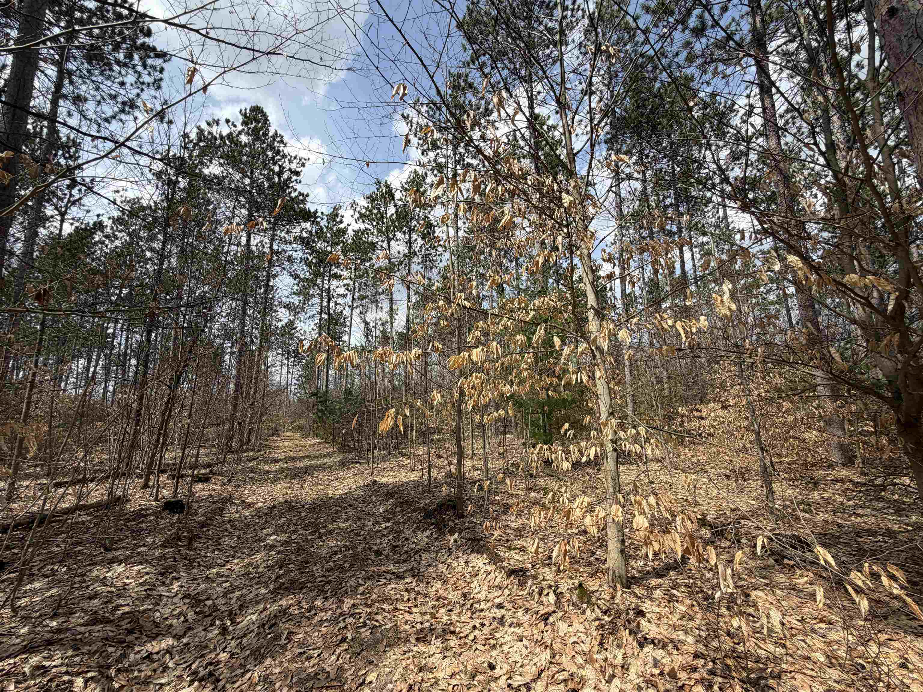 Hoosier Valley Road, Traverse City, MI, 49685
